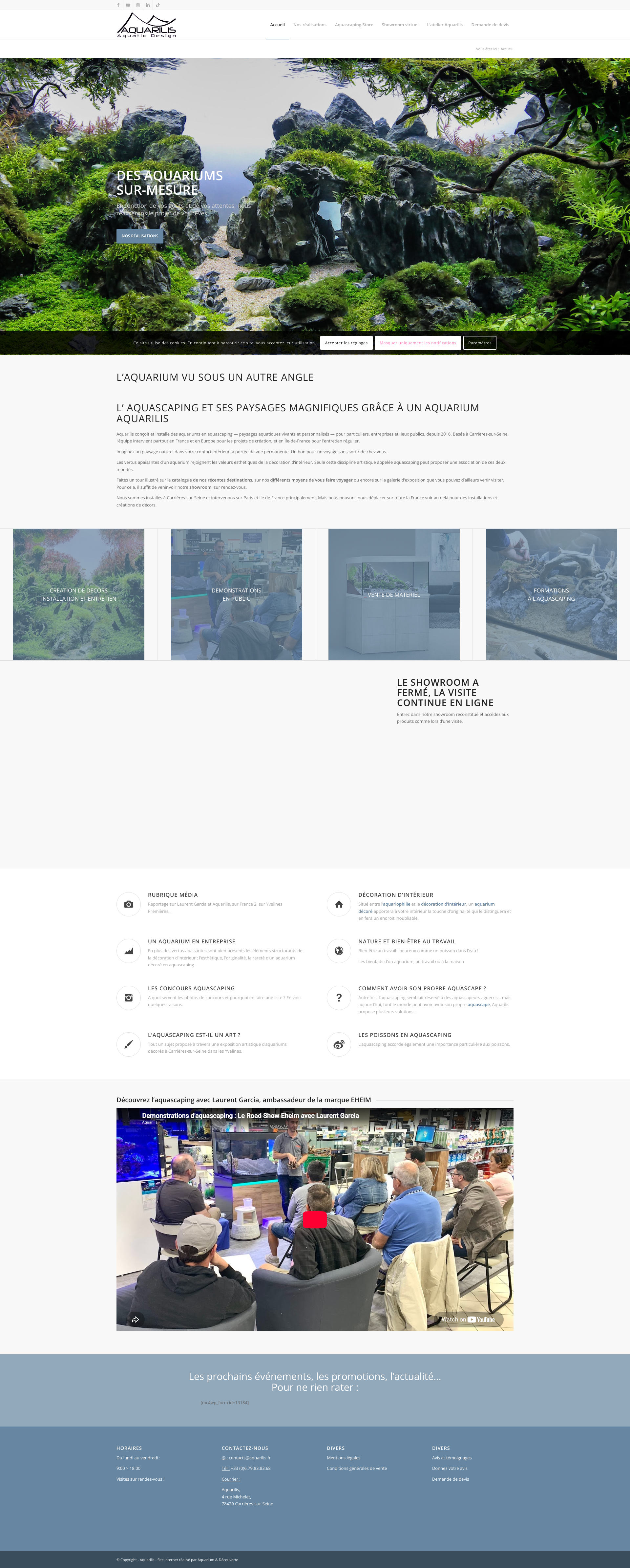Aperçu du site
