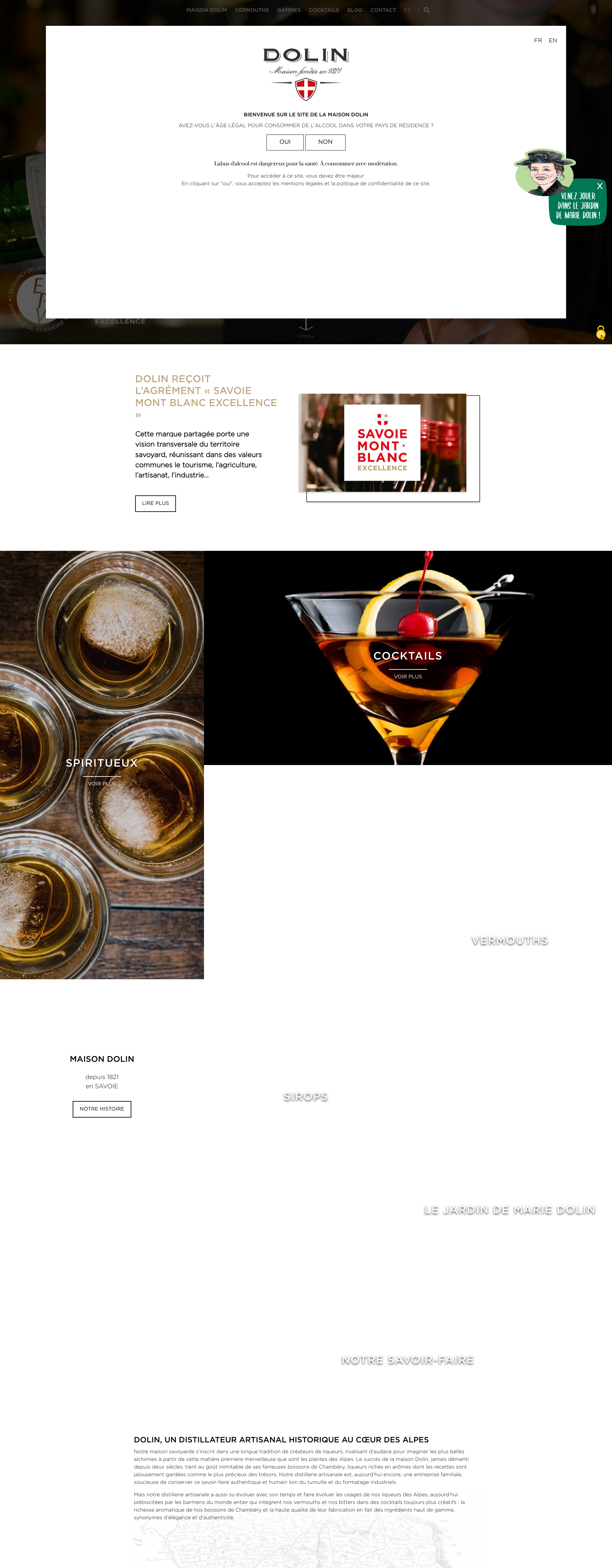 Aperçu du site
