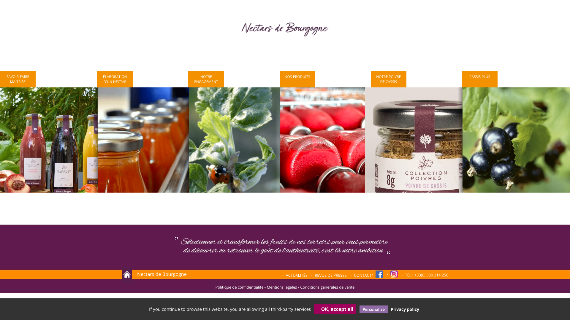 Aperçu du site