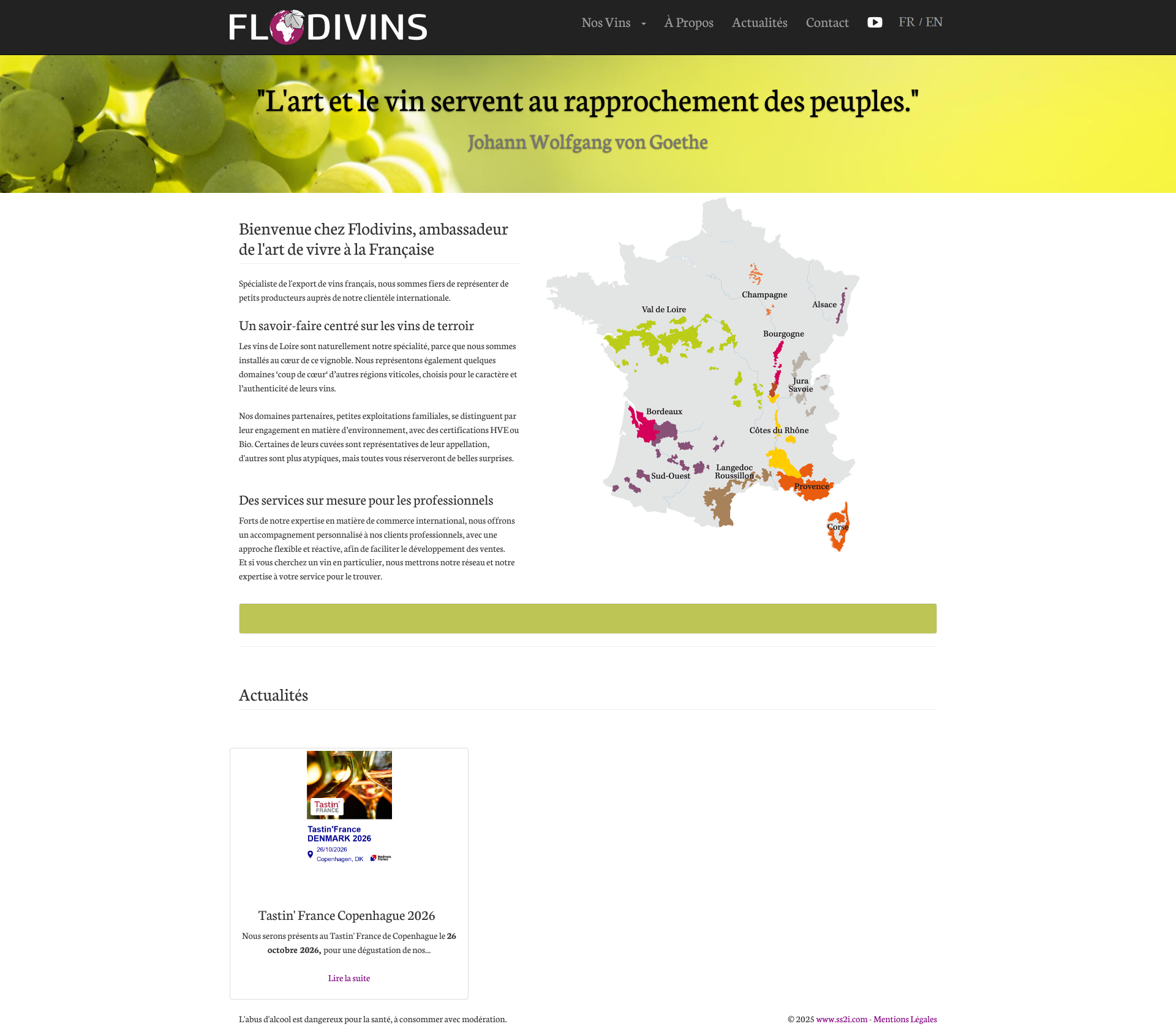 Aperçu du site