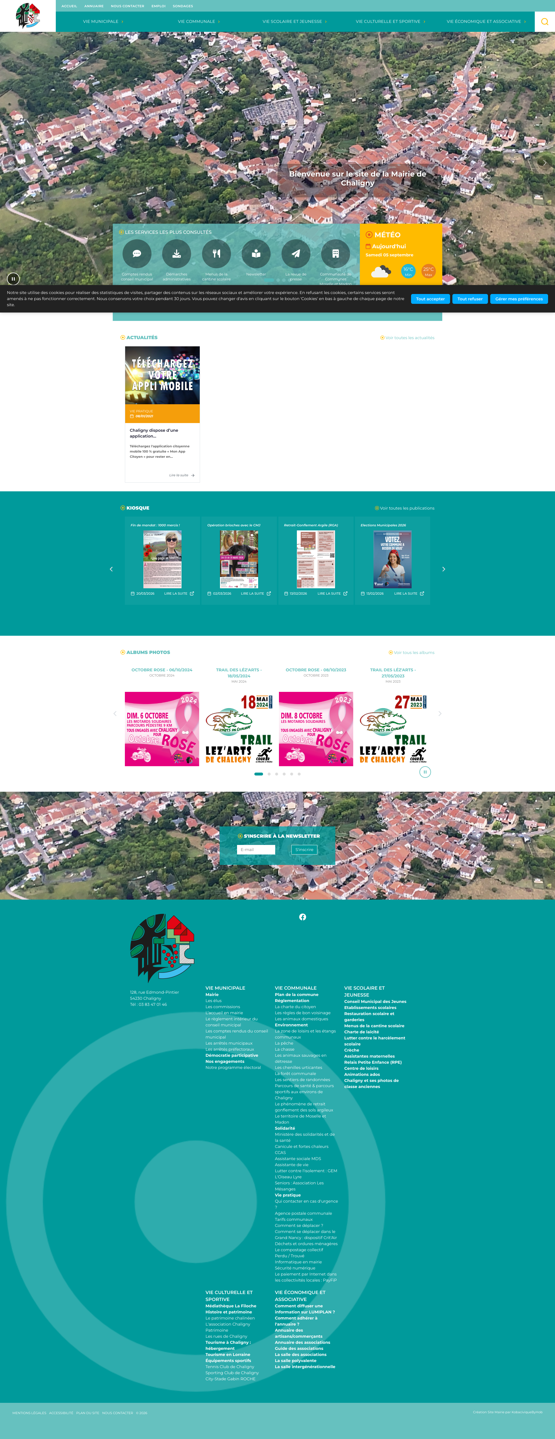 Aperçu du site