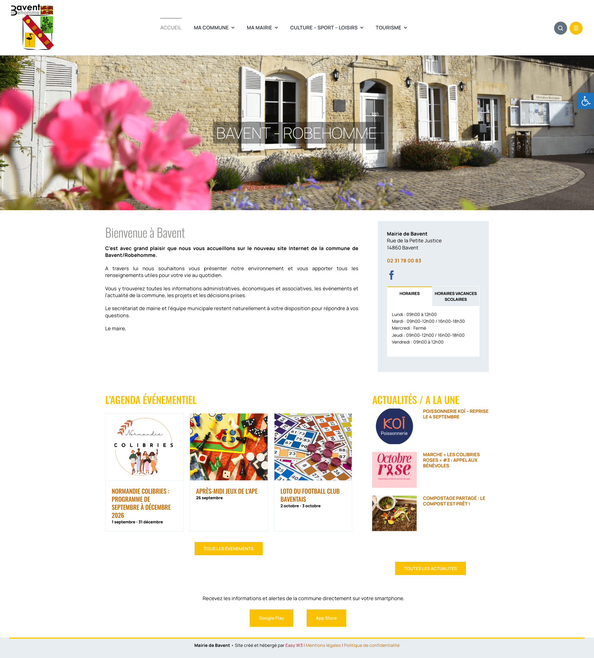 Aperçu du site