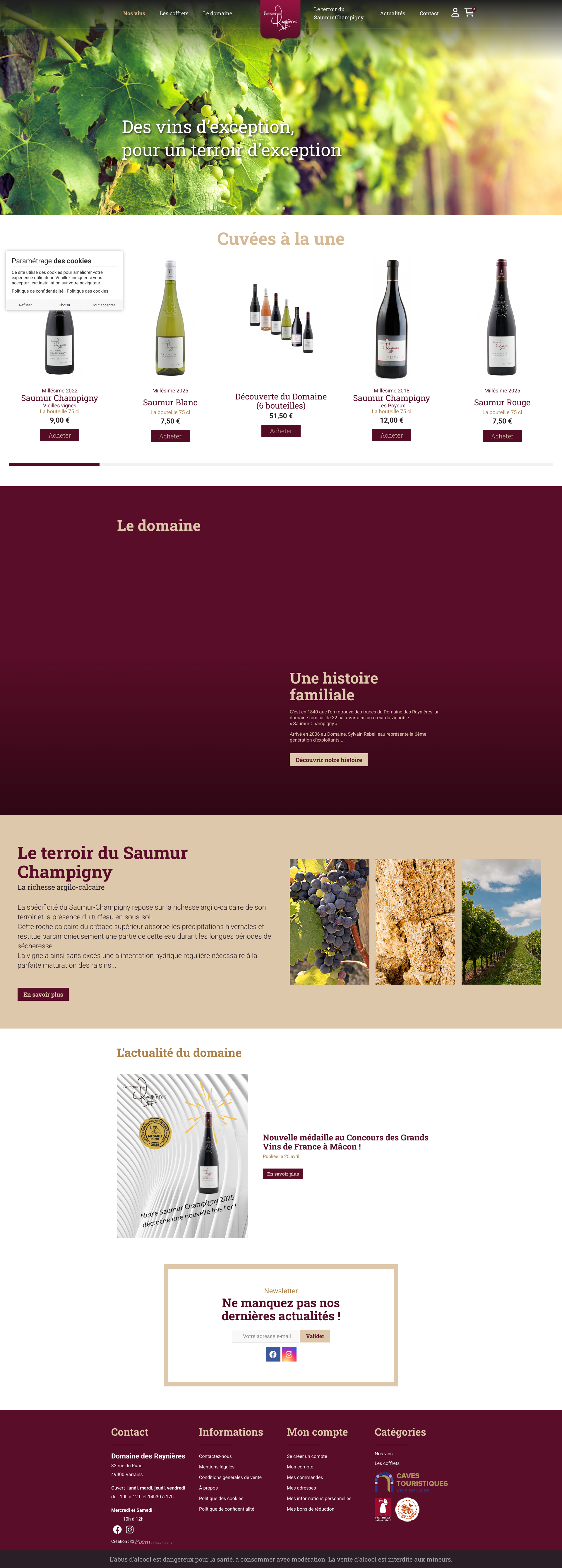 Aperçu du site