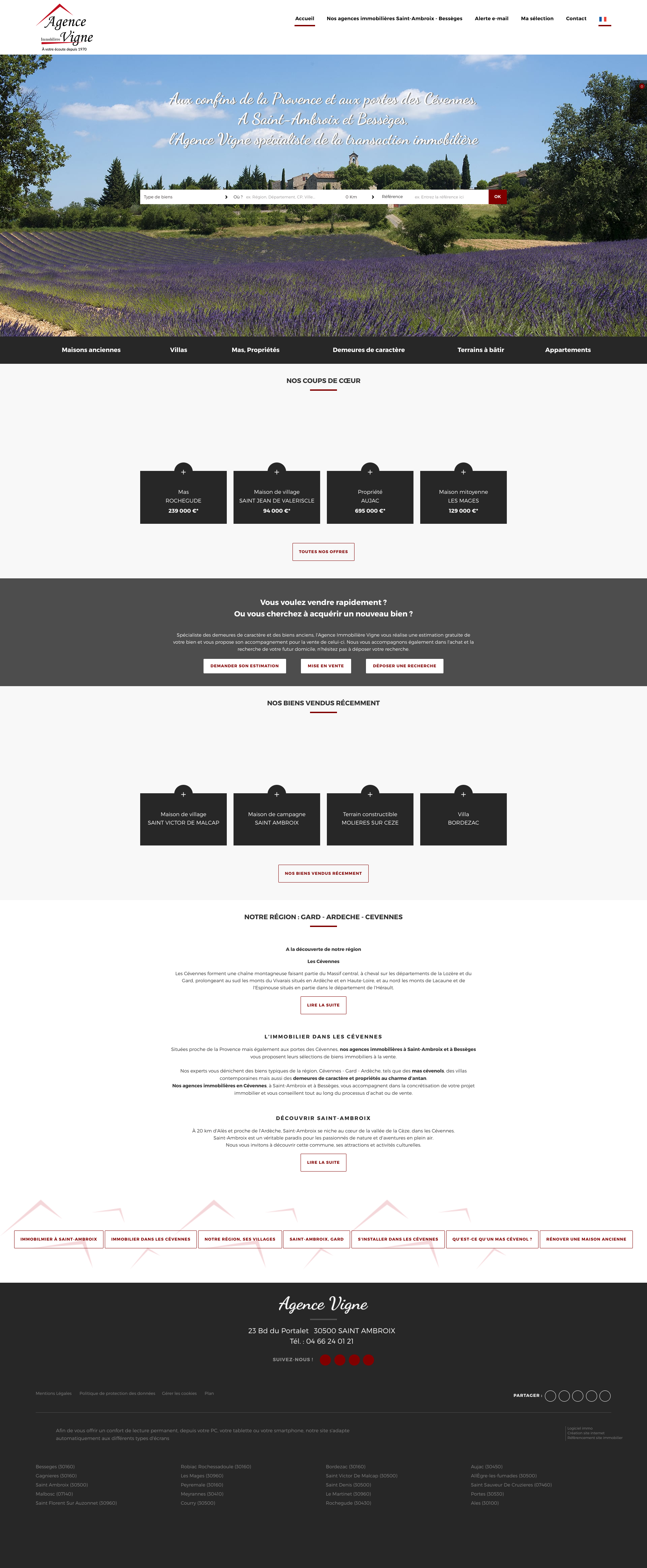 Aperçu du site