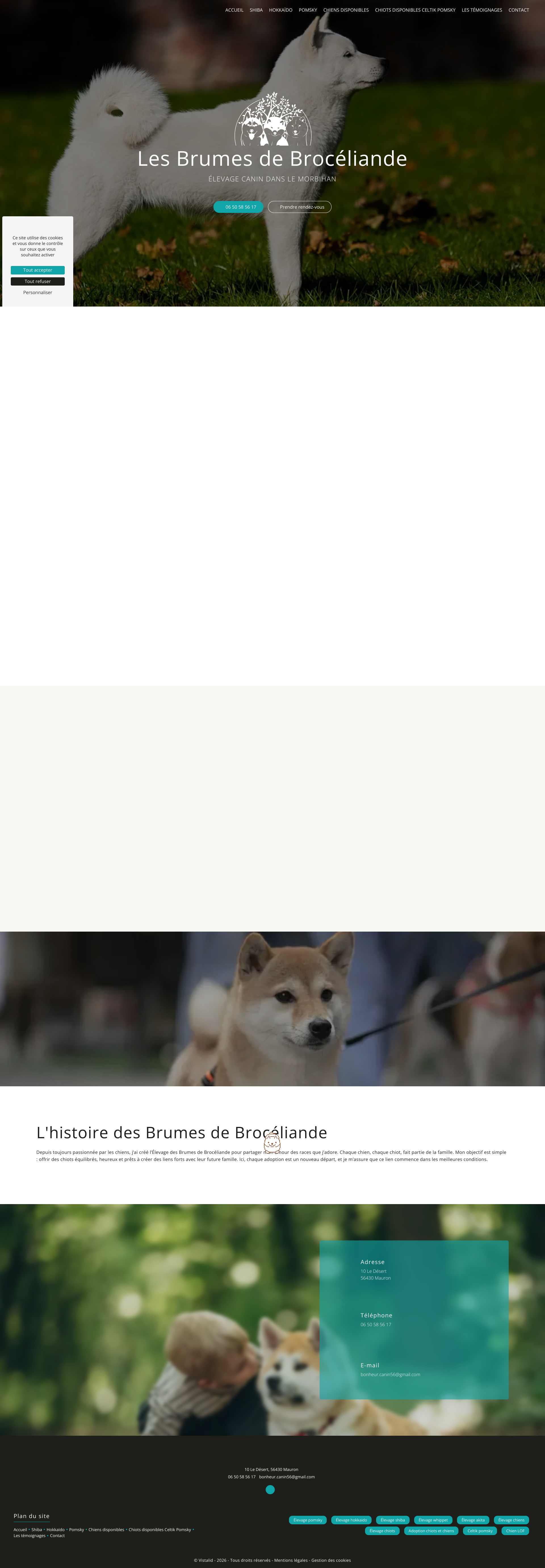 Aperçu du site