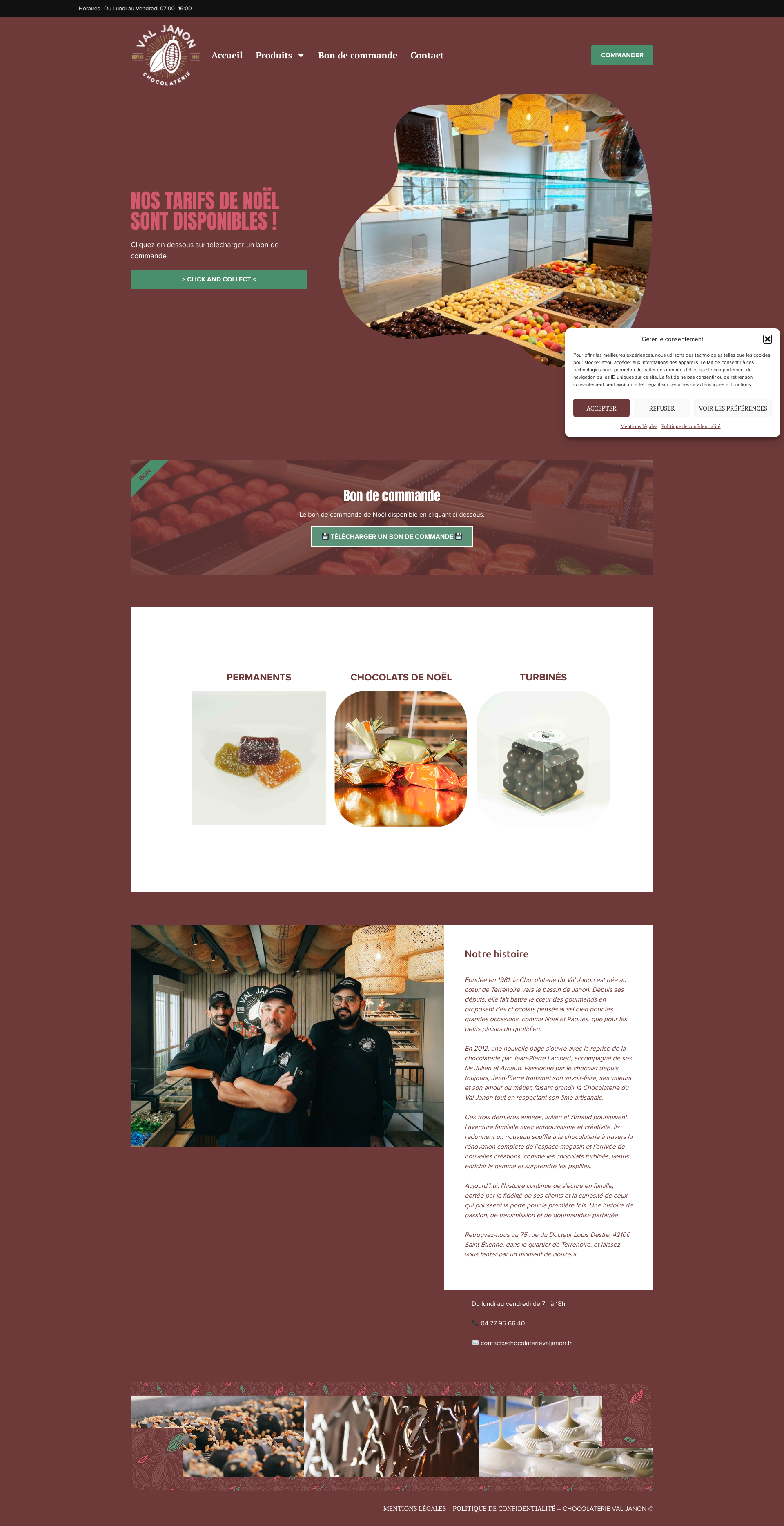 Aperçu du site