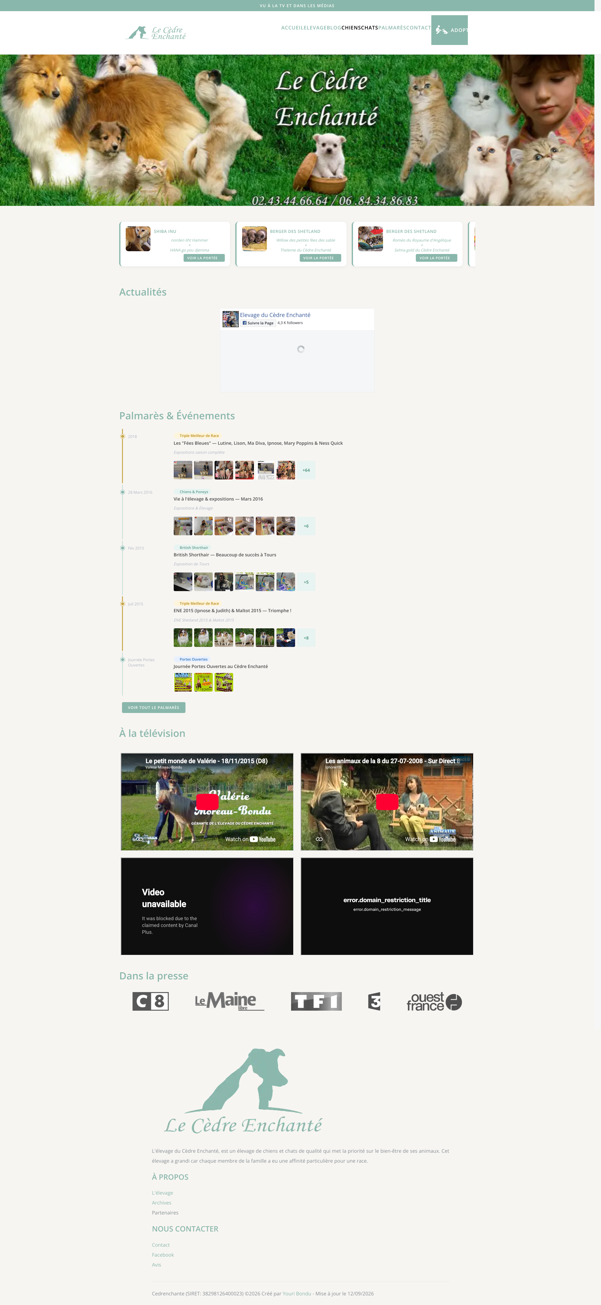 Aperçu du site