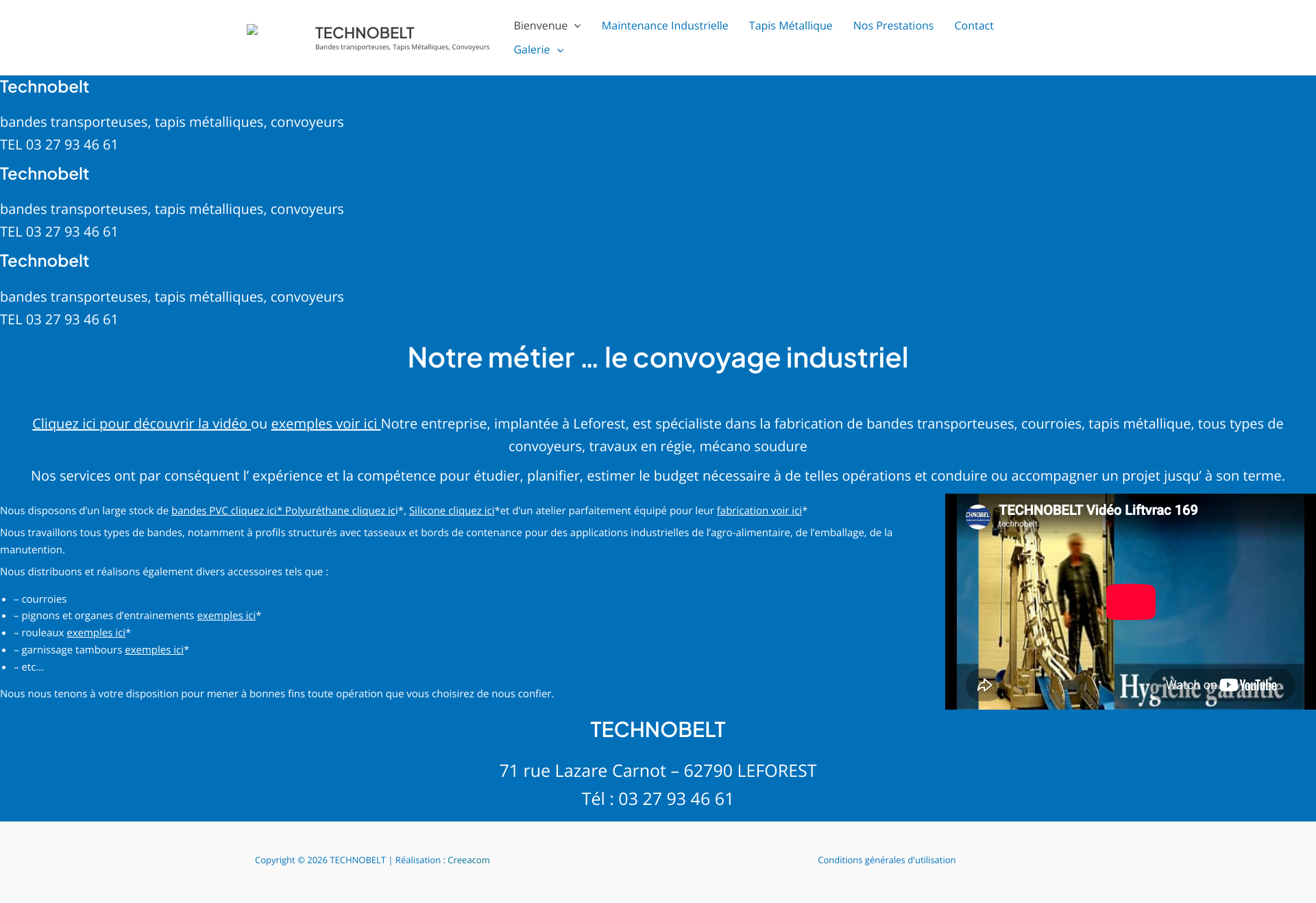 Aperçu du site