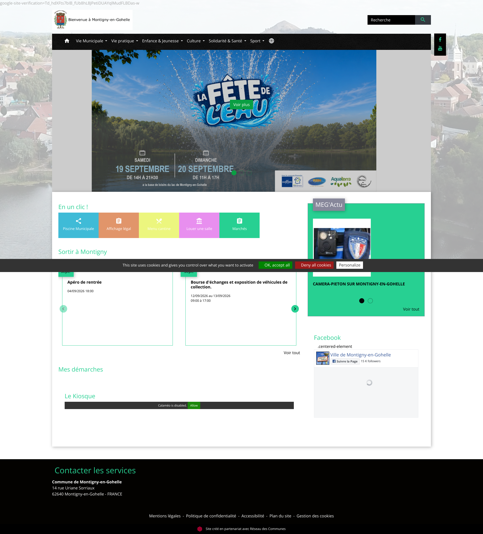 Aperçu du site