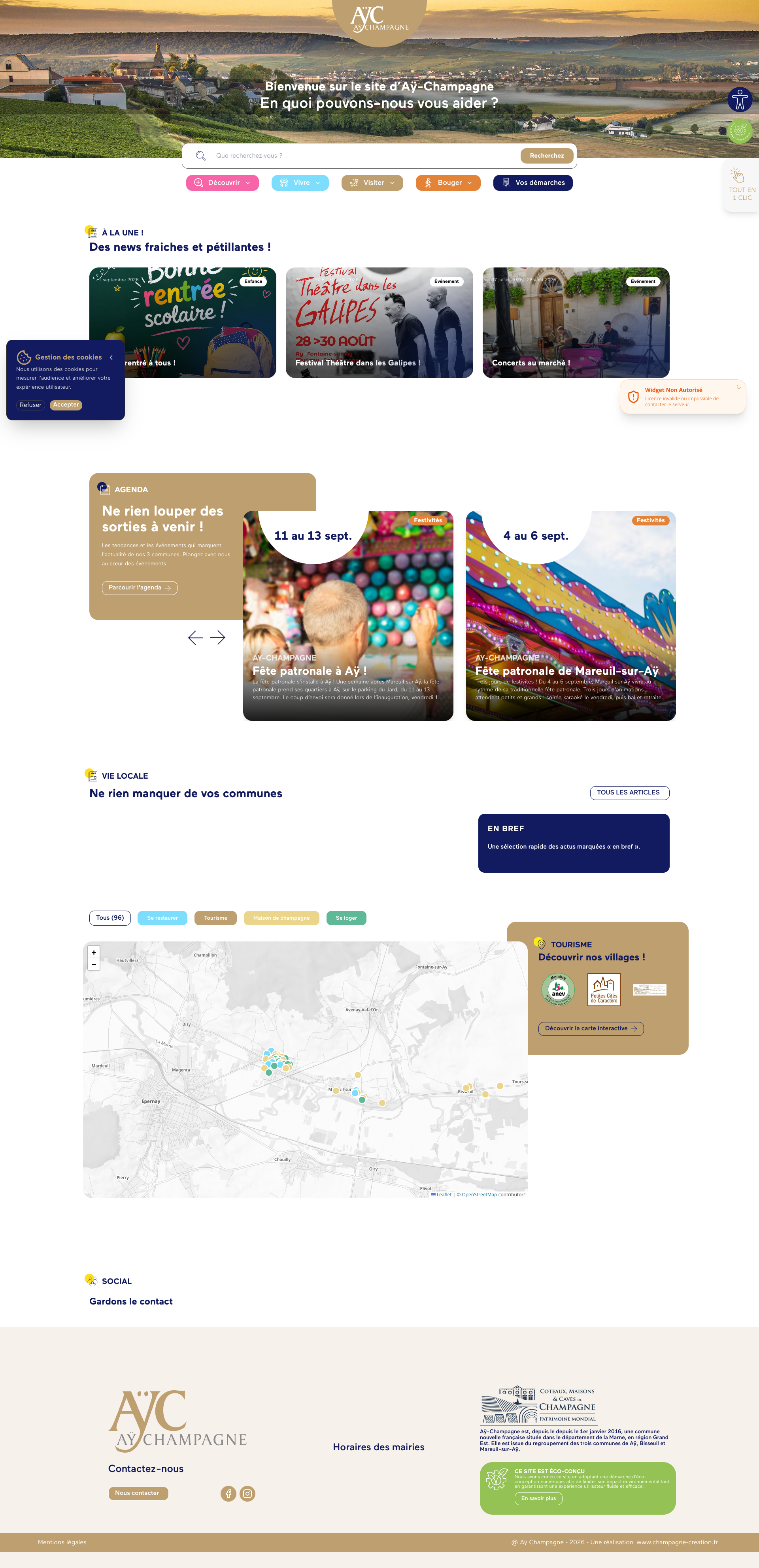 Aperçu du site