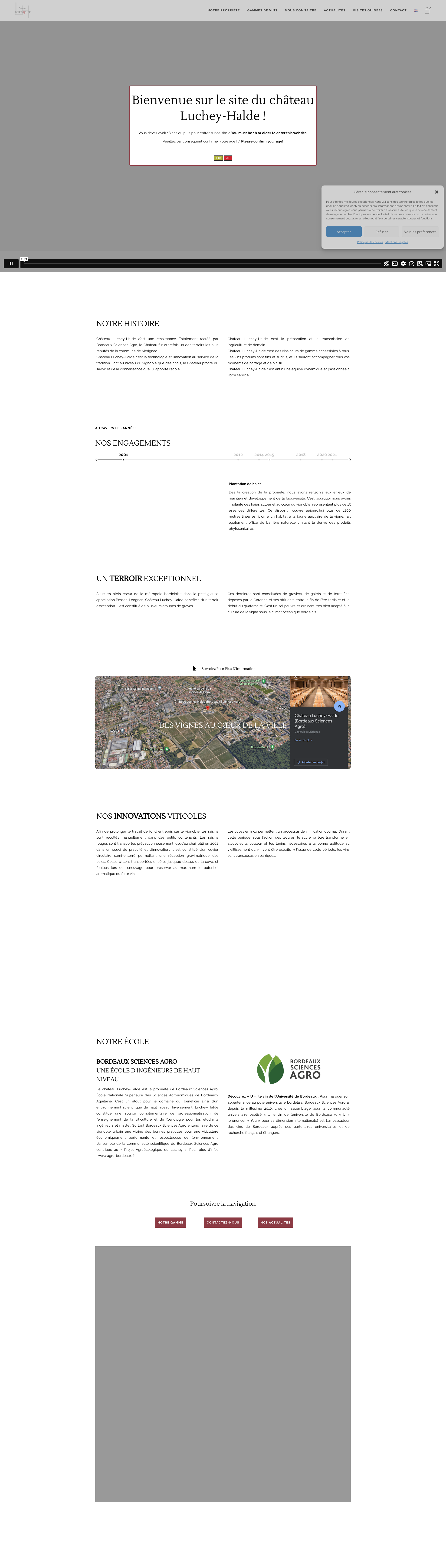 Aperçu du site