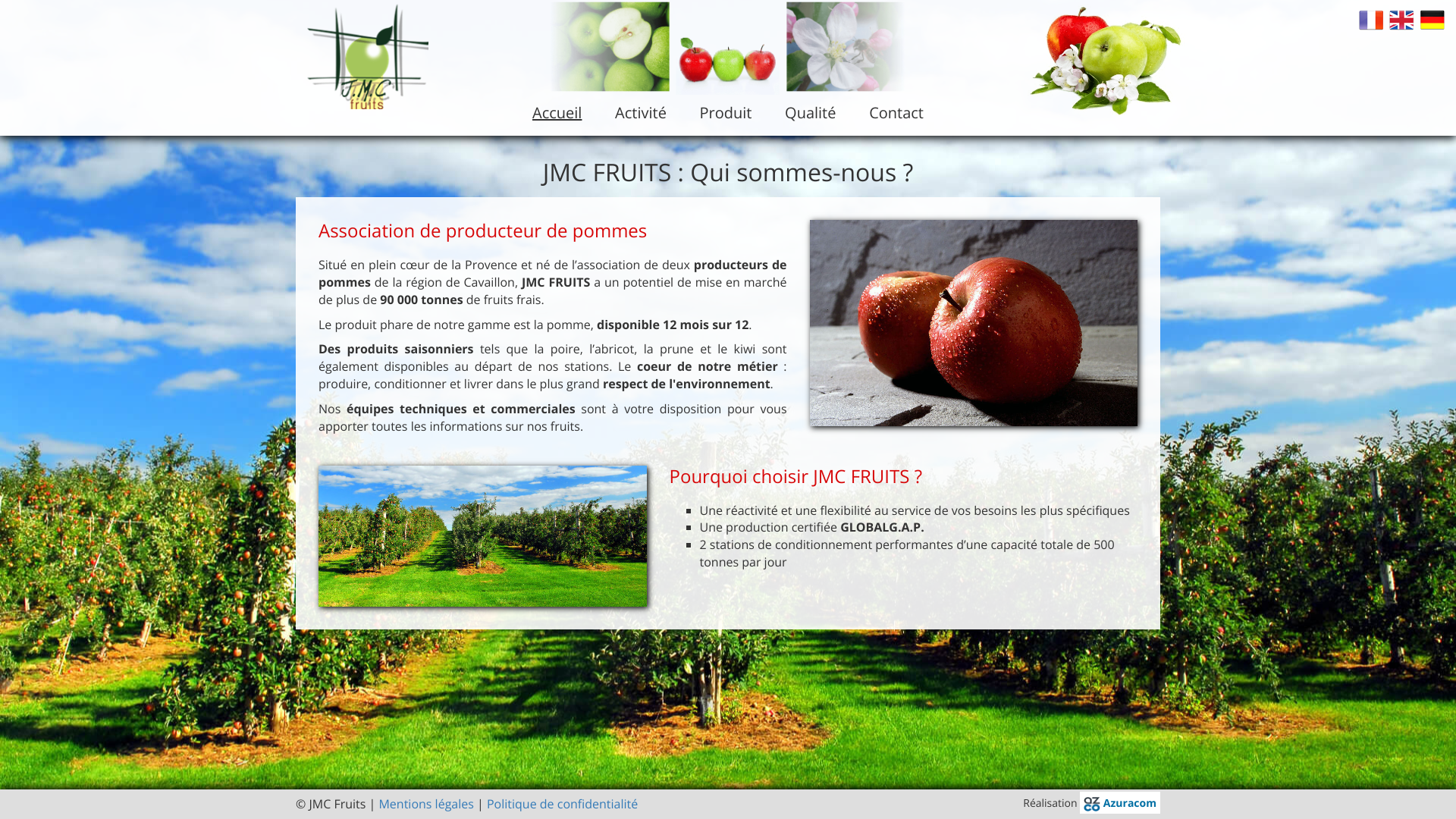 Aperçu du site
