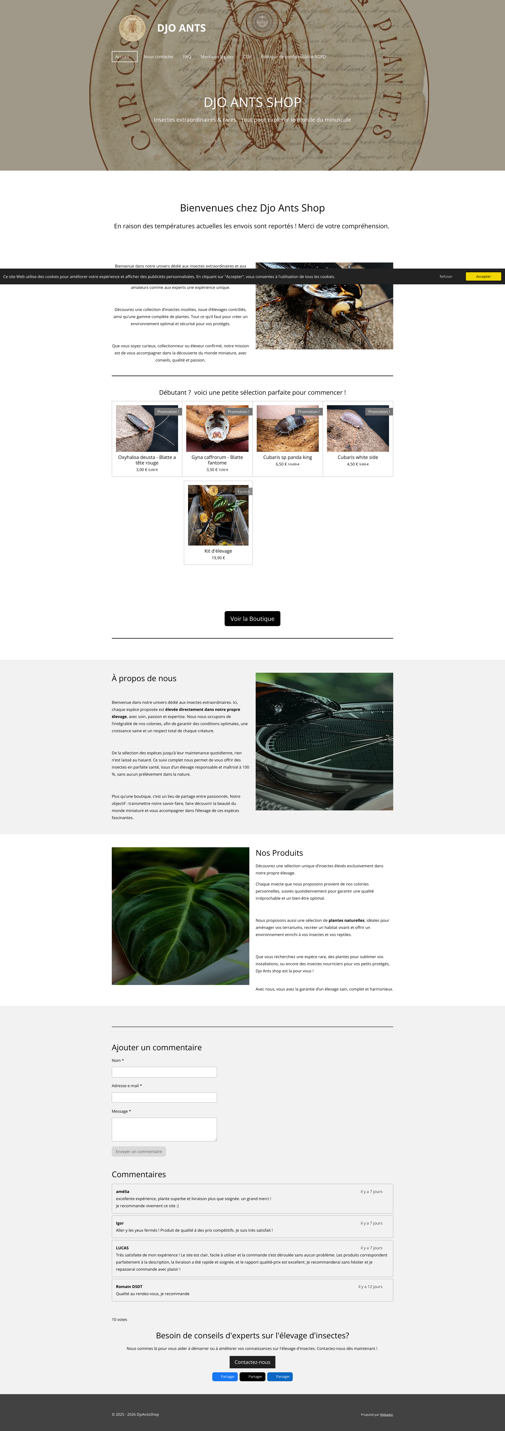 Aperçu du site