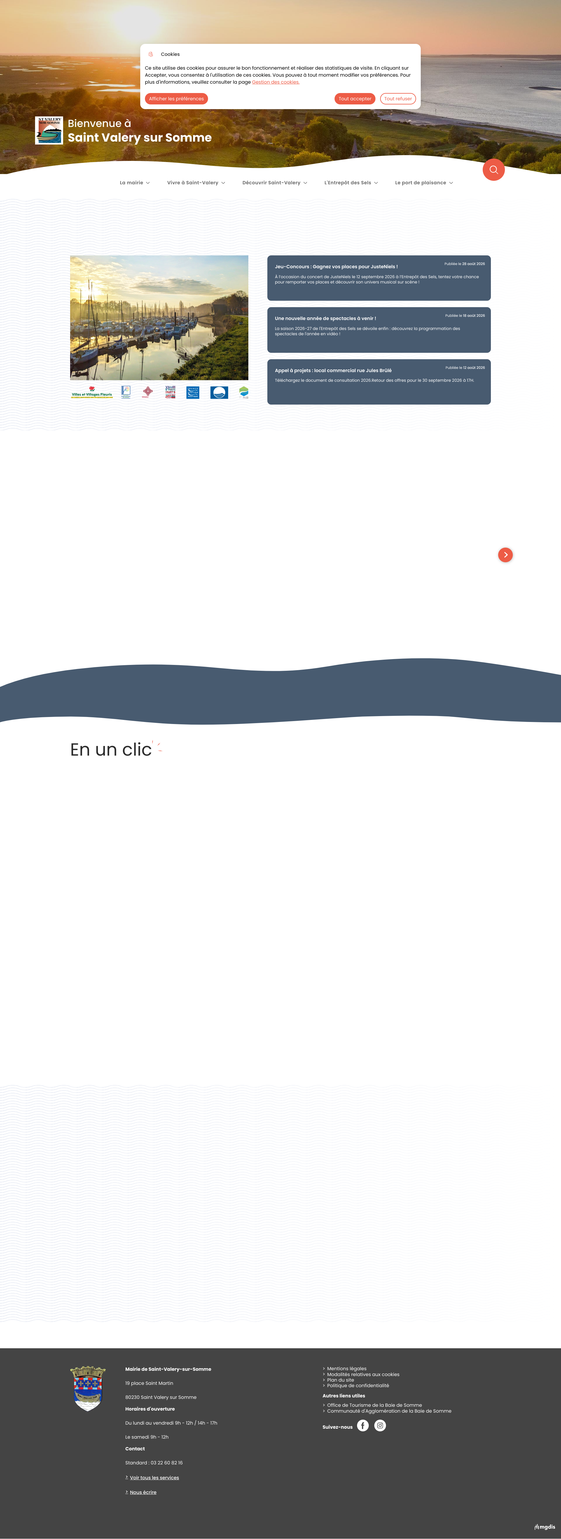 Aperçu du site