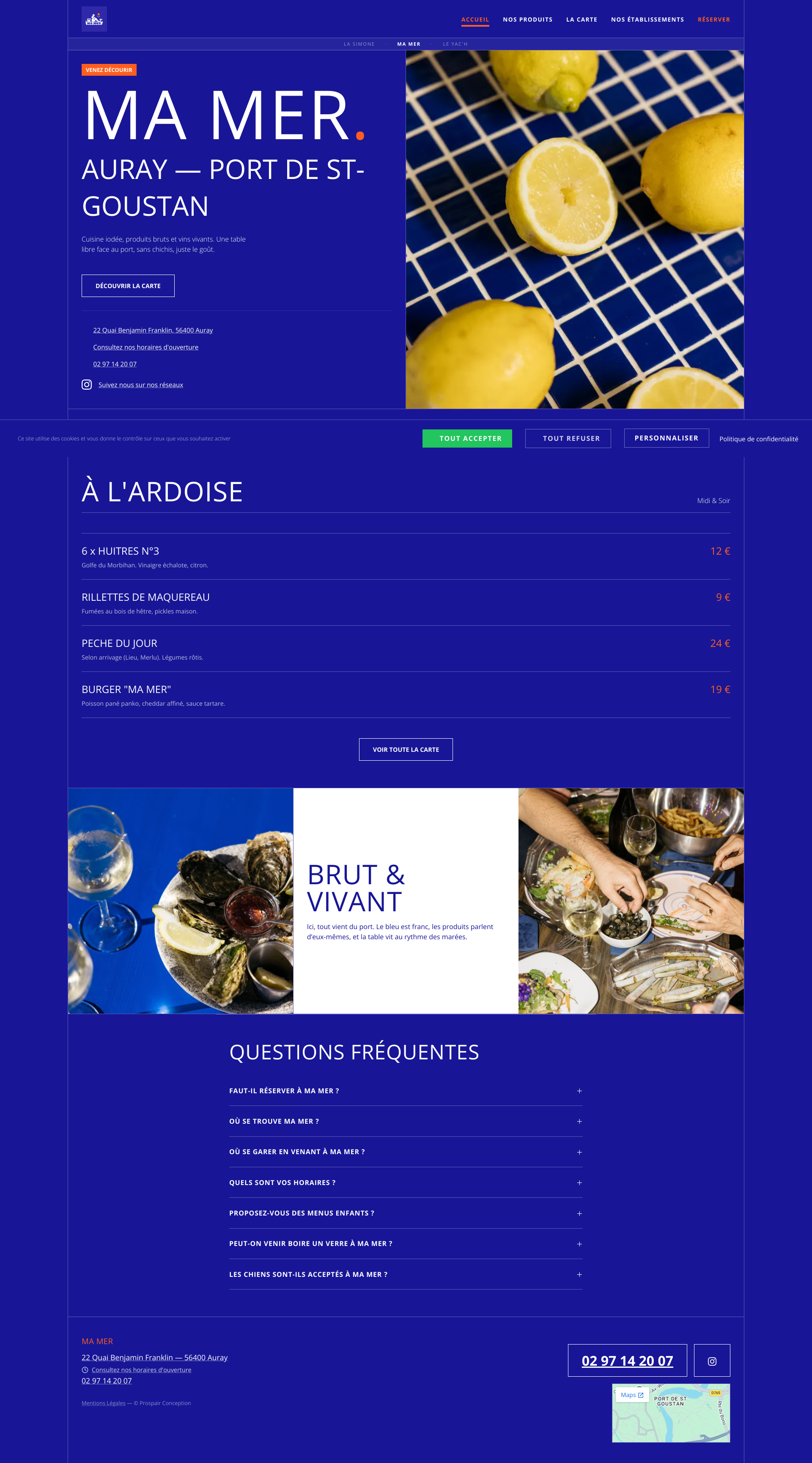 Aperçu du site