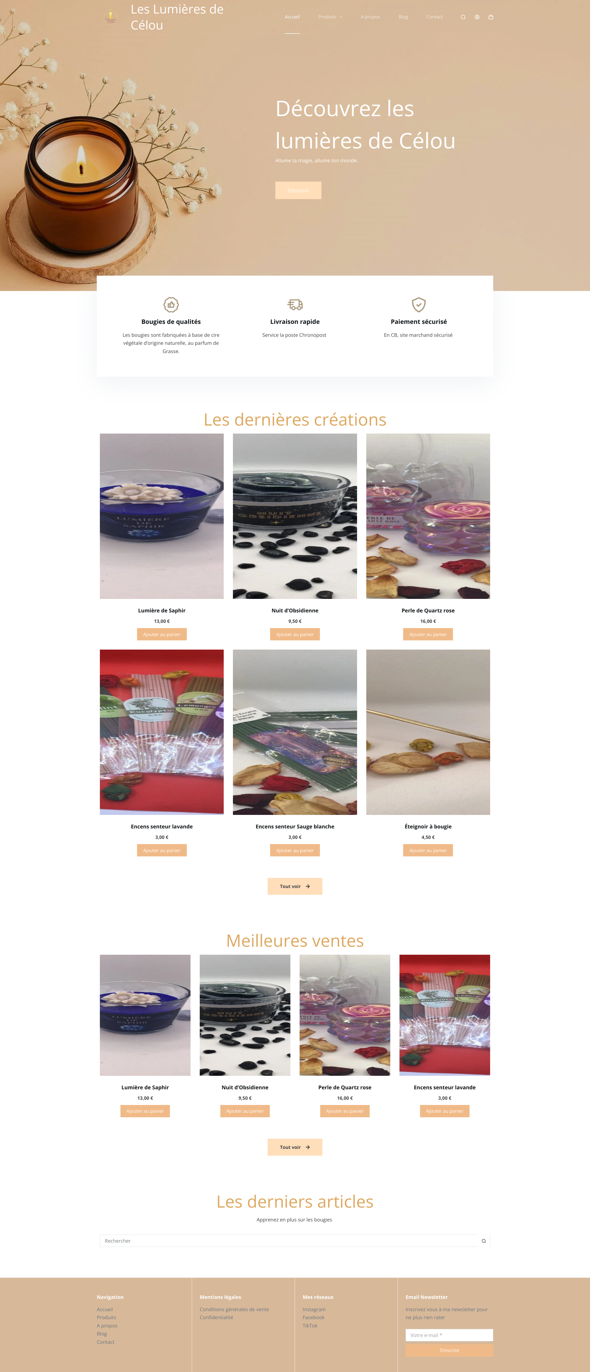 Aperçu du site
