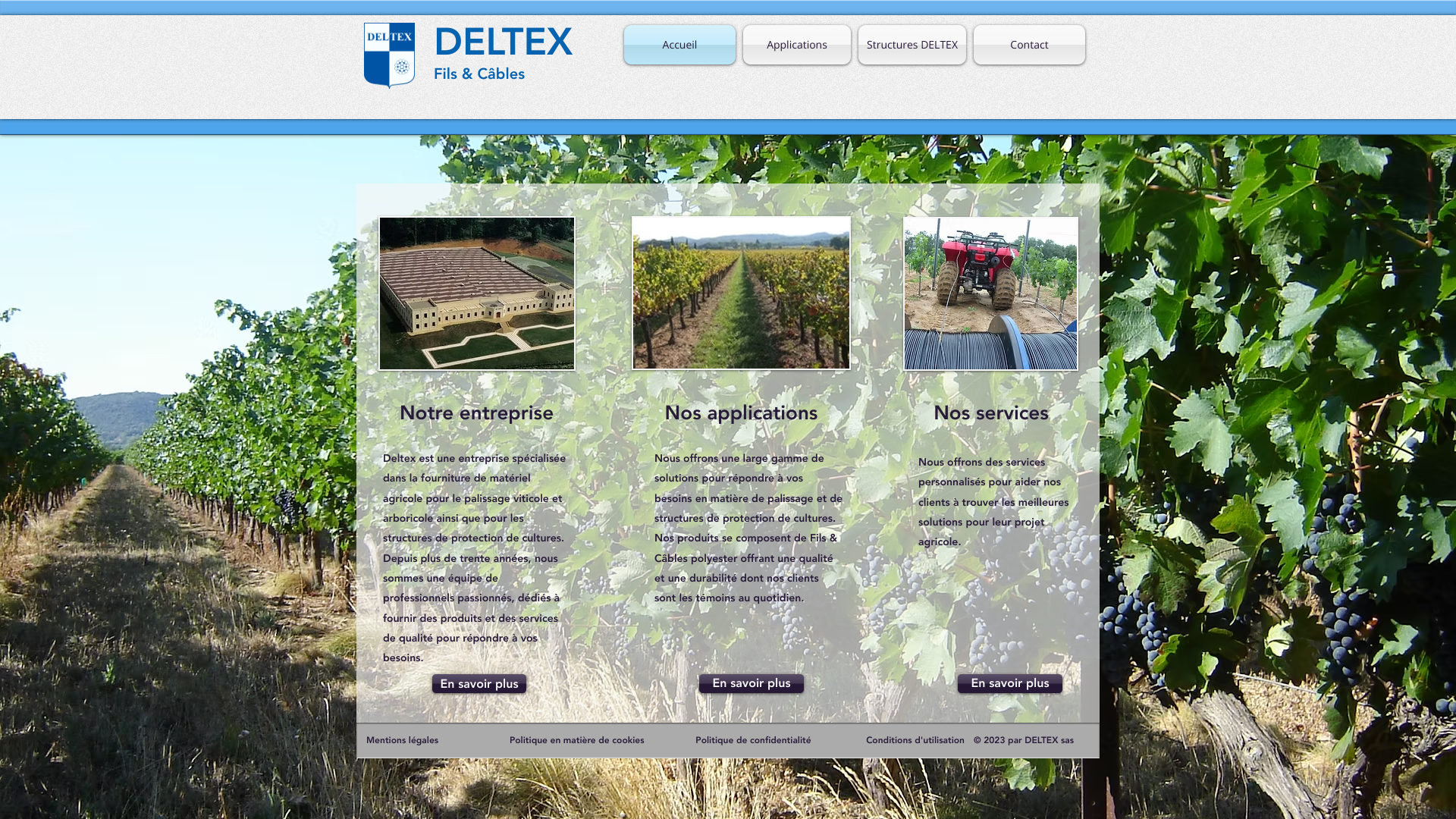 Aperçu du site