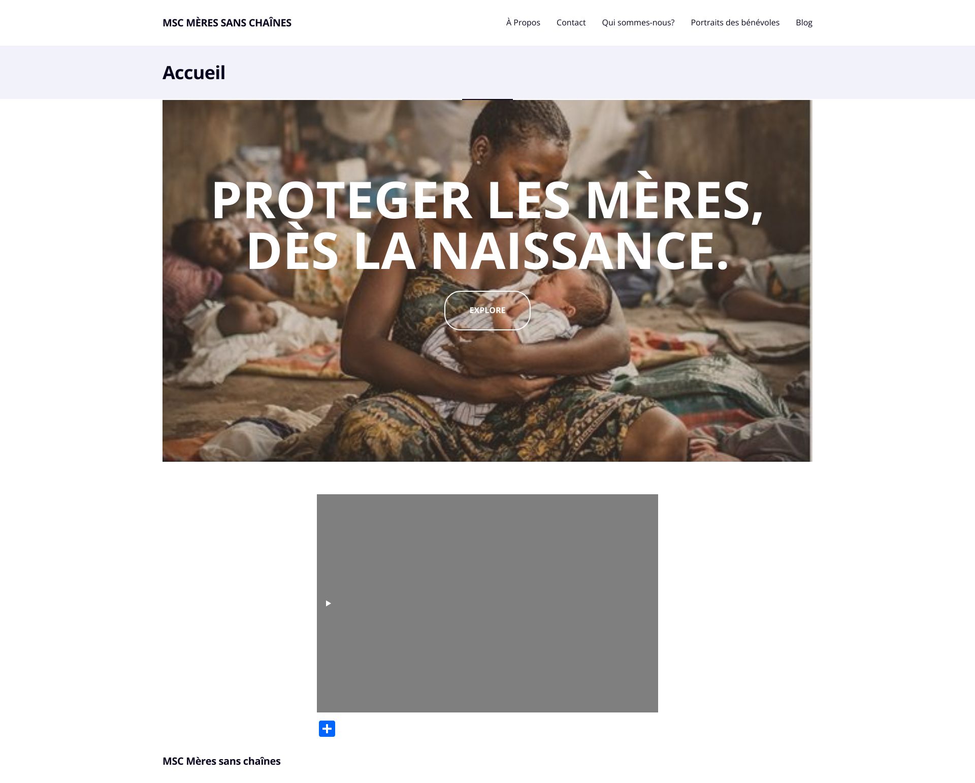 Aperçu du site