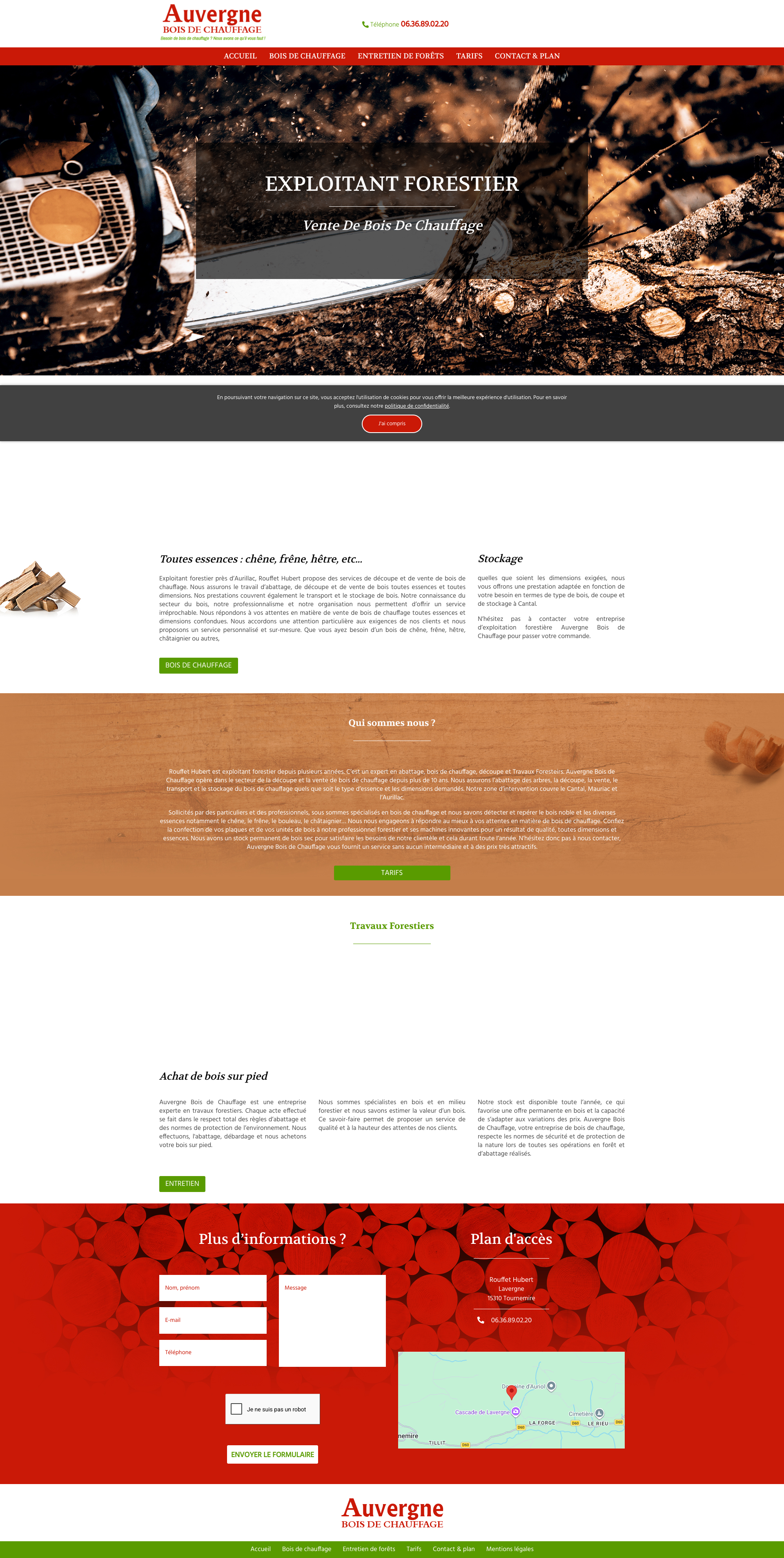 Aperçu du site