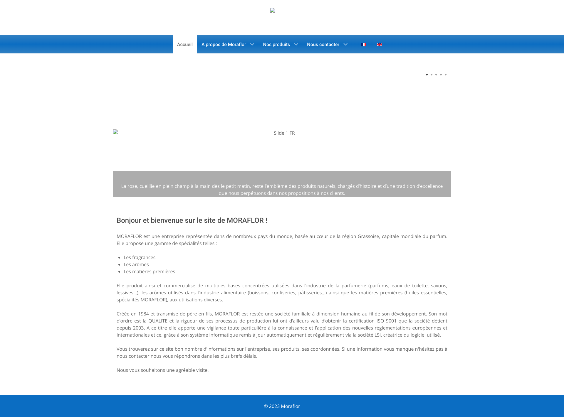 Aperçu du site