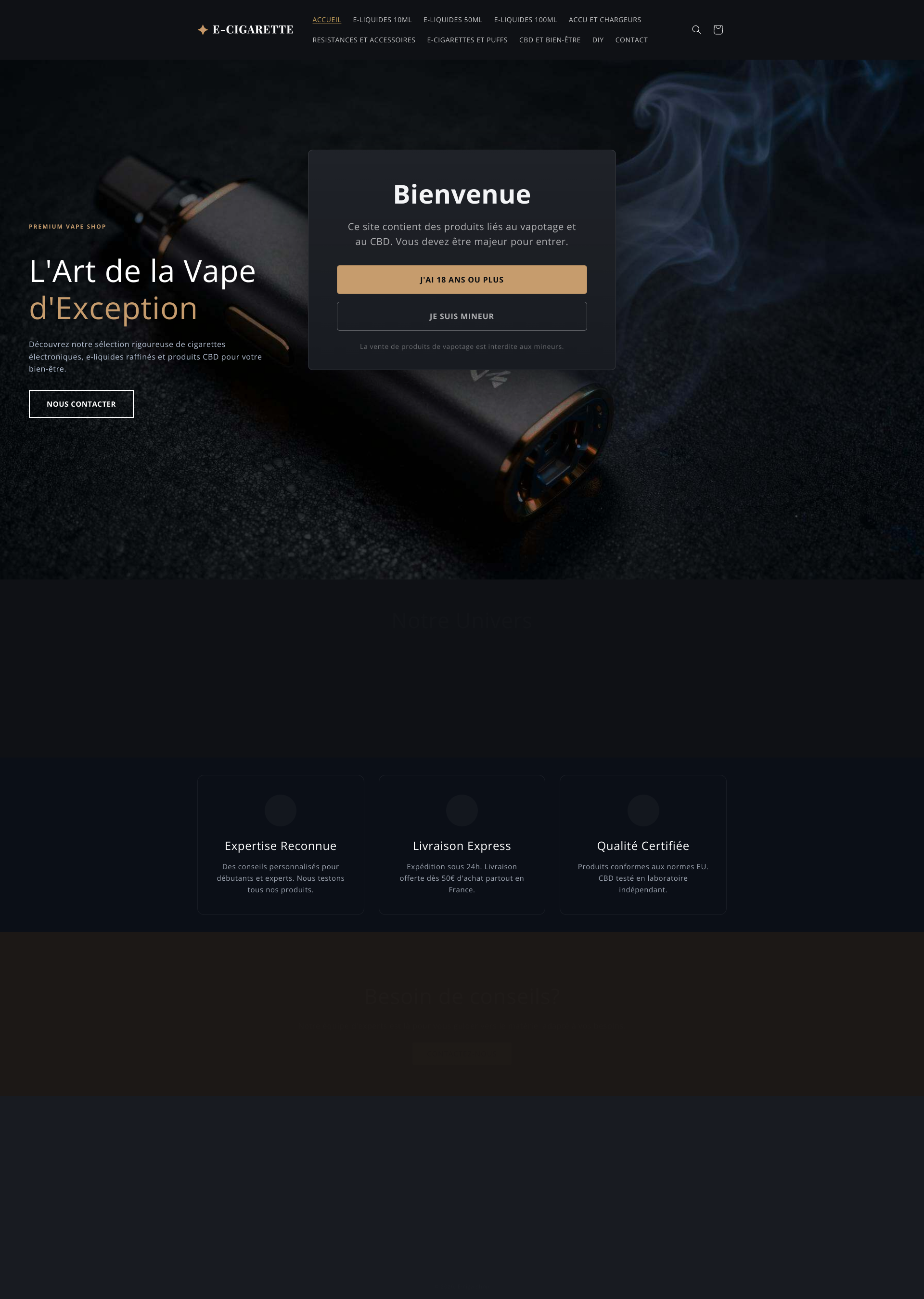 Aperçu du site