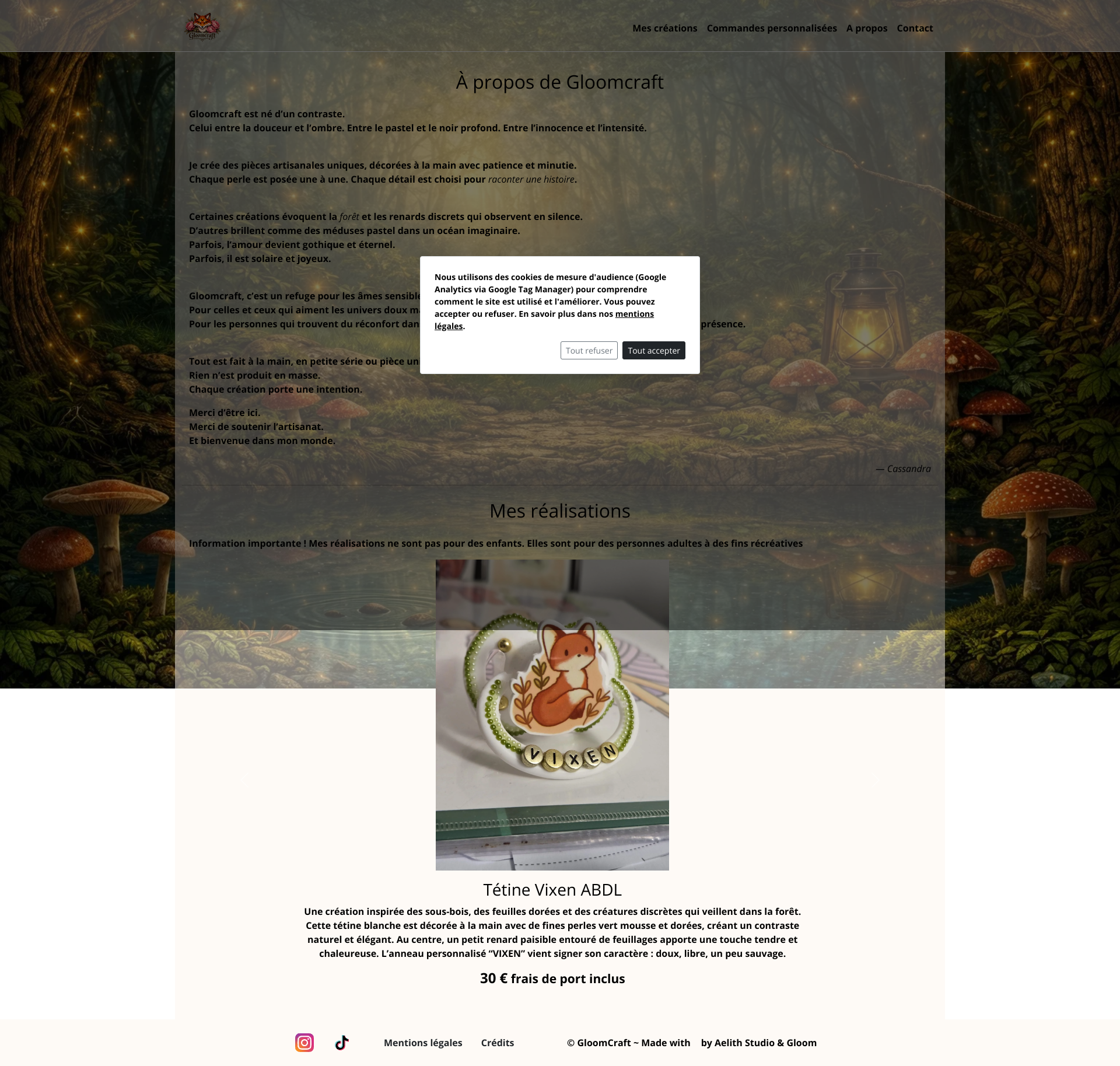 Aperçu du site