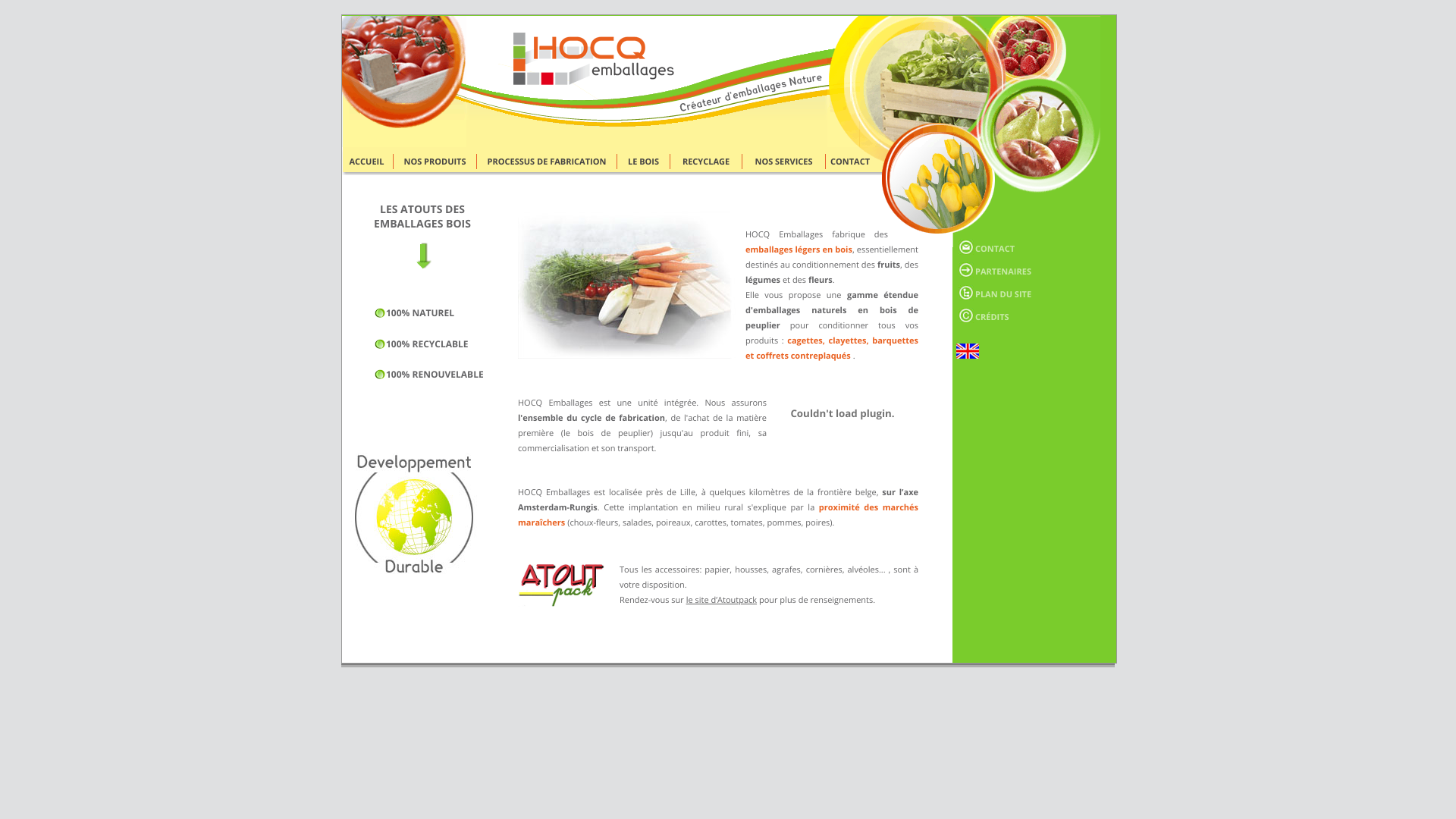 Aperçu du site