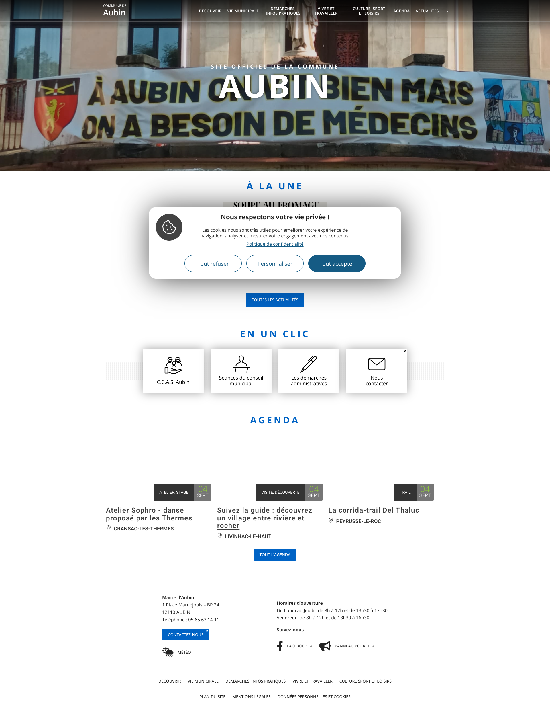 Aperçu du site