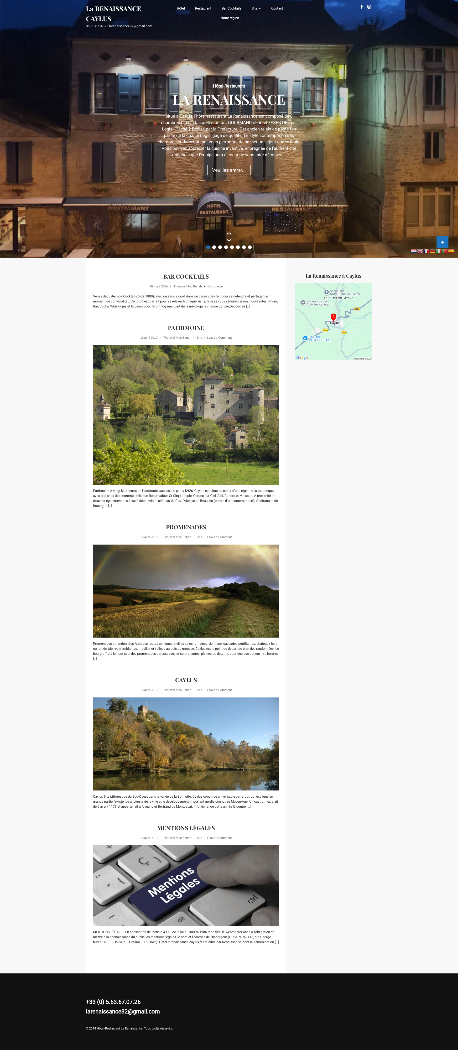 Aperçu du site