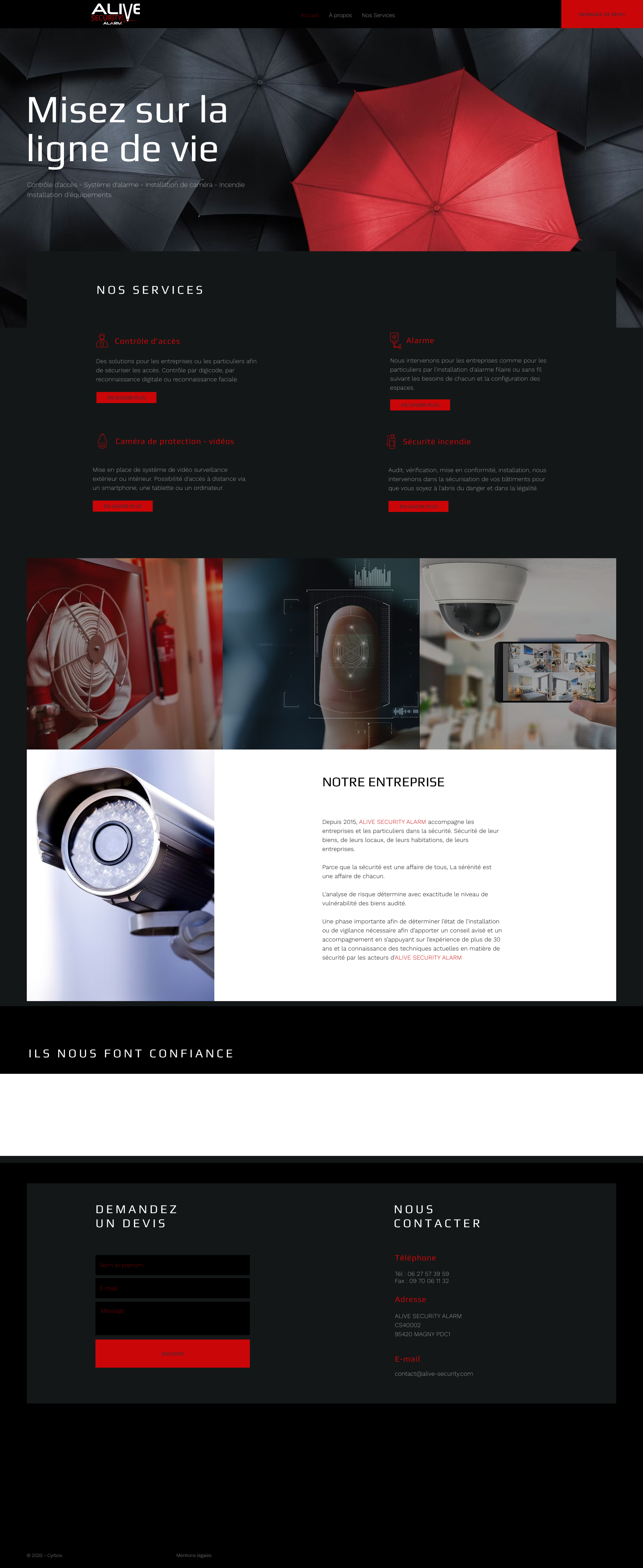 Aperçu du site