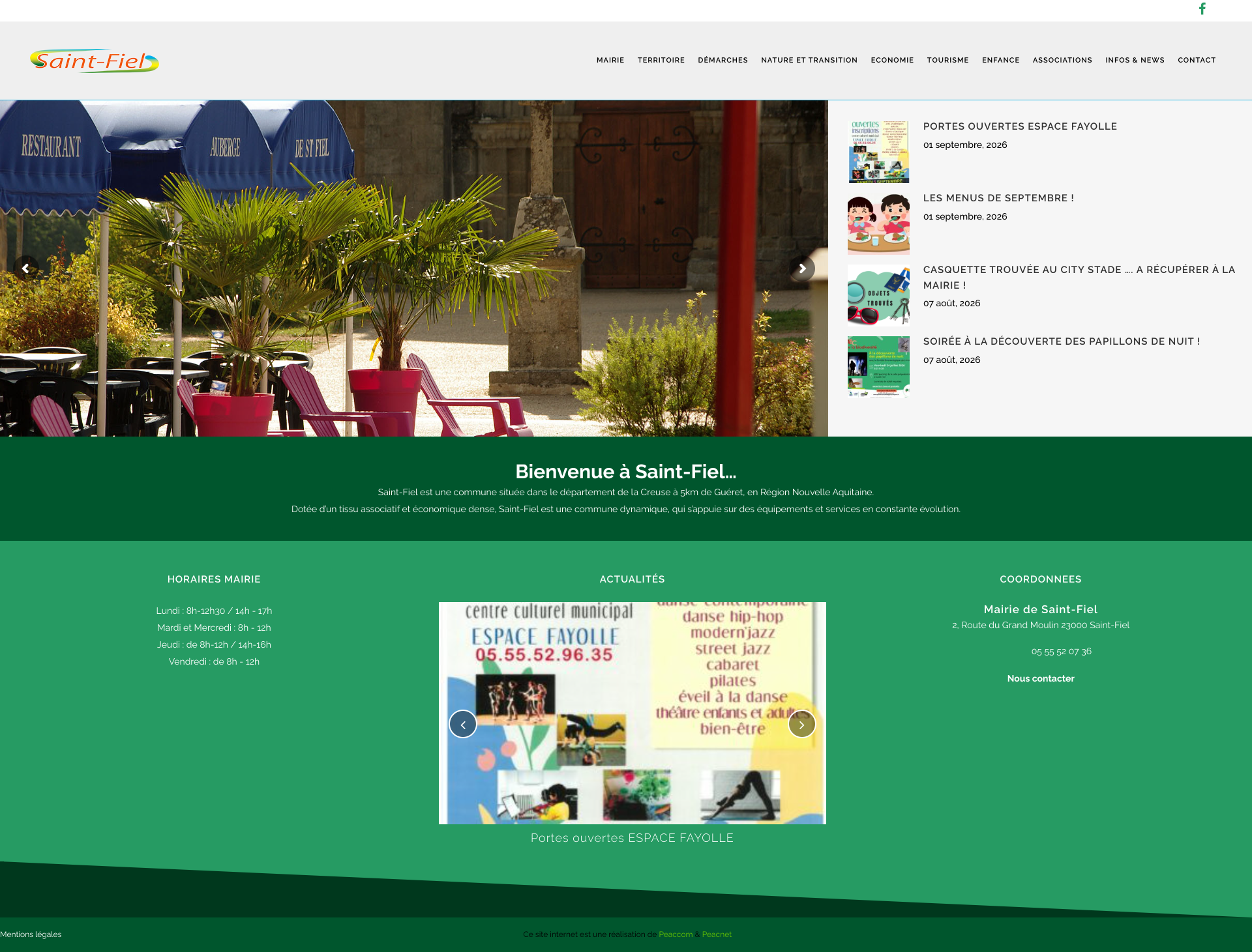 Aperçu du site