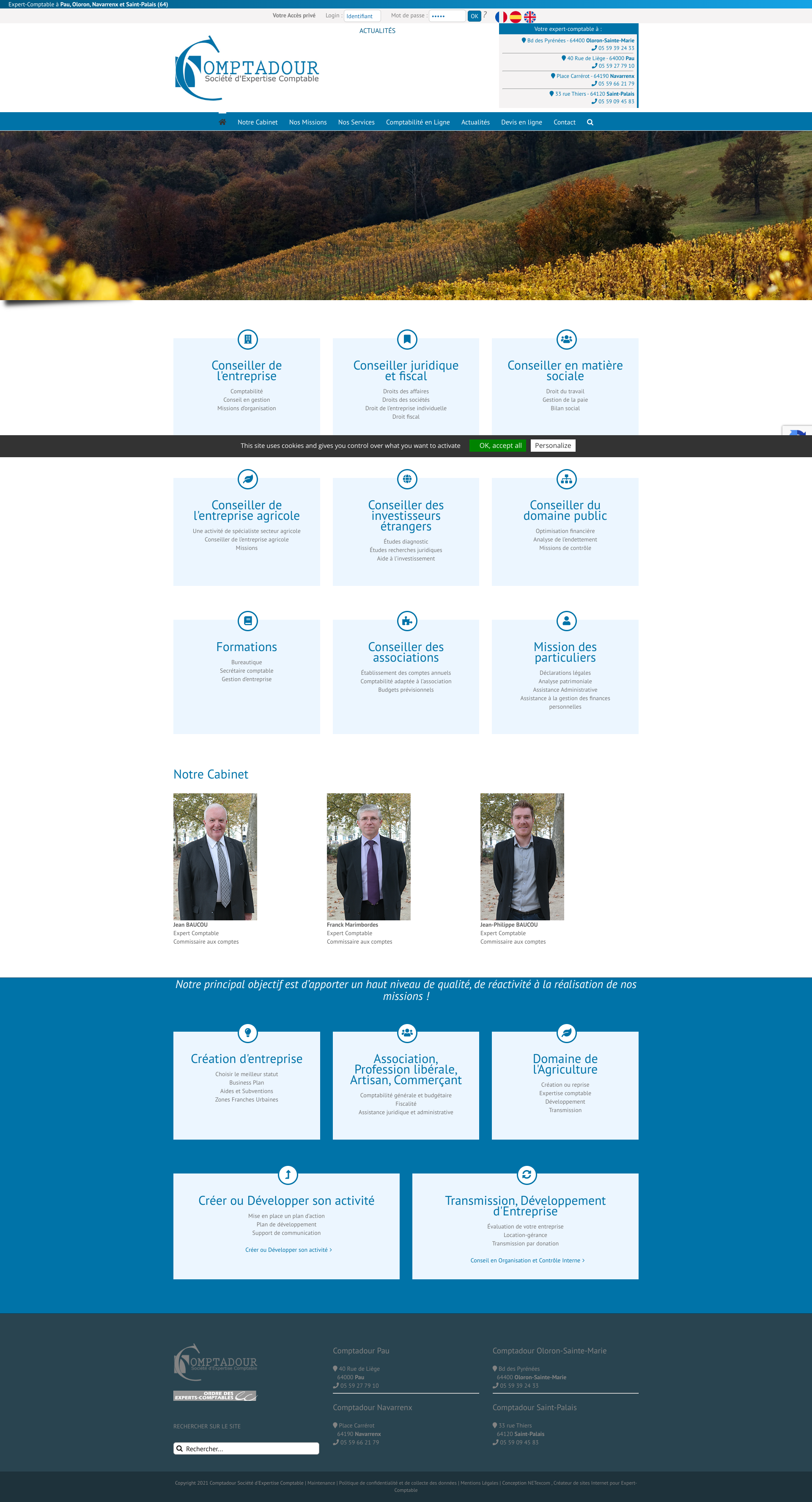 Aperçu du site