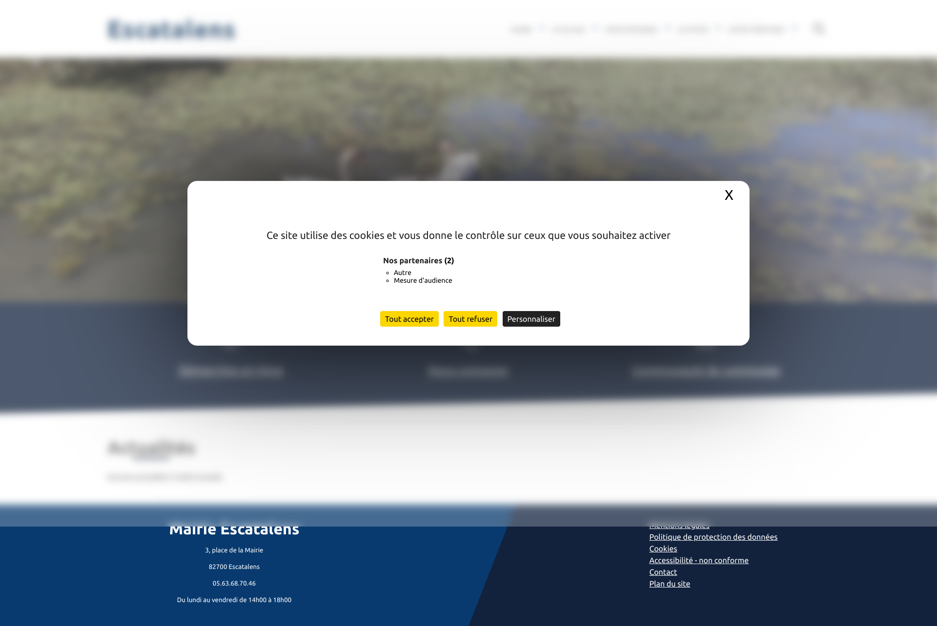 Aperçu du site