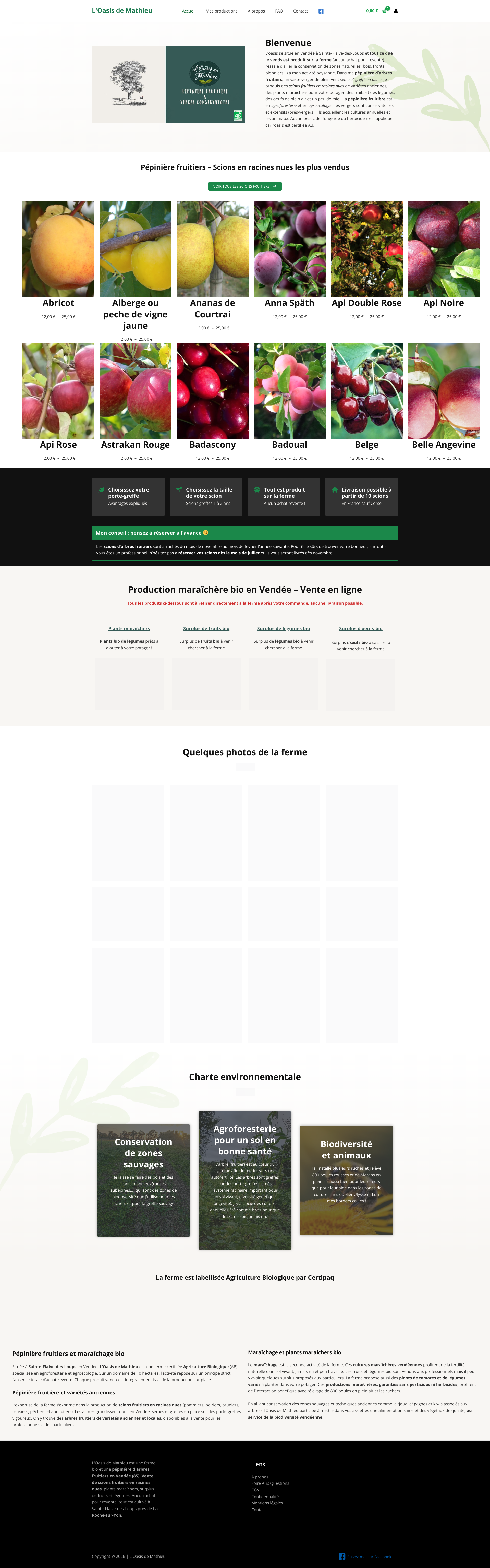 Aperçu du site