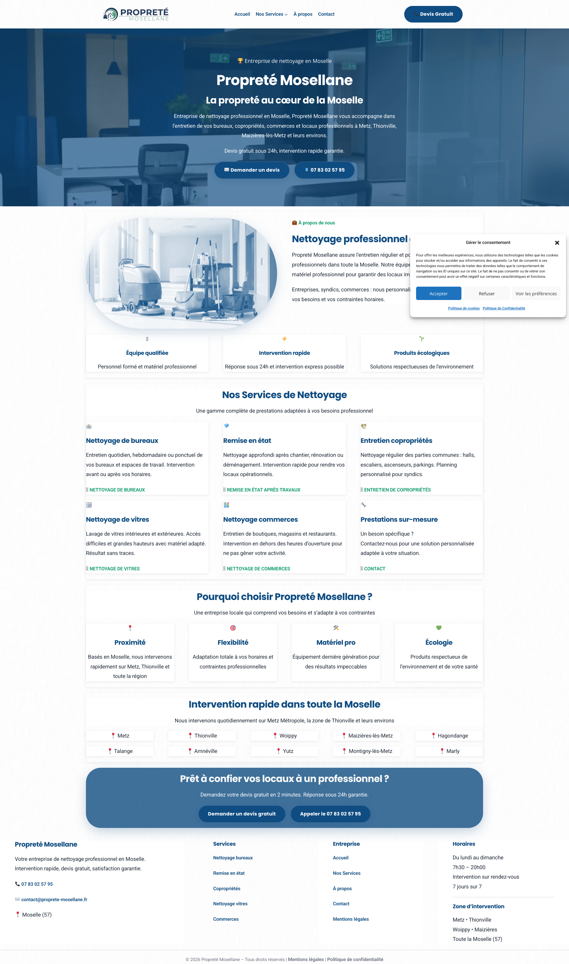 Aperçu du site