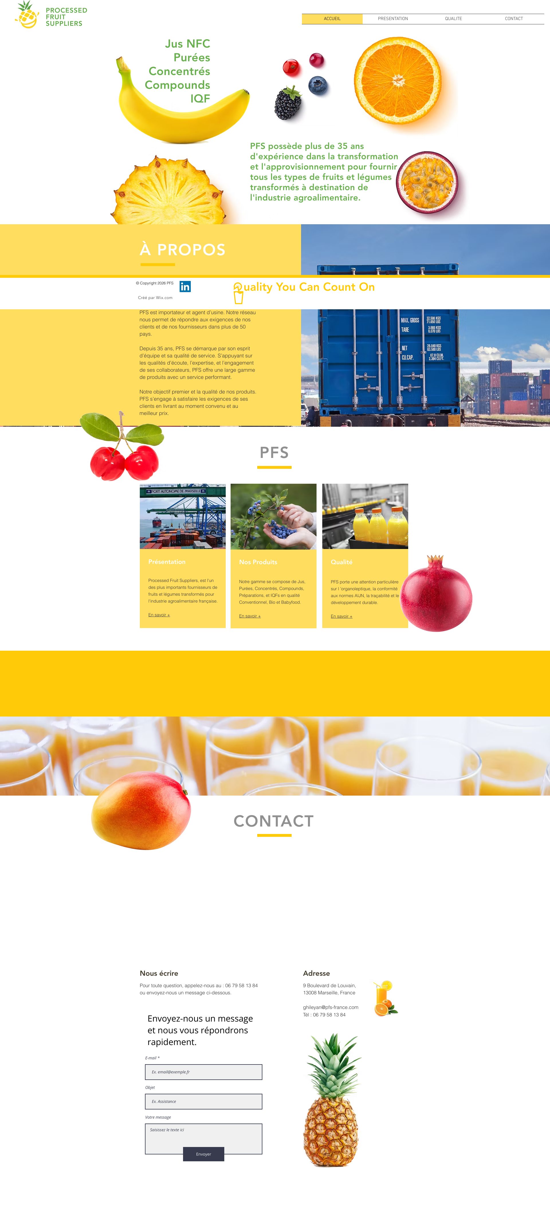 Aperçu du site