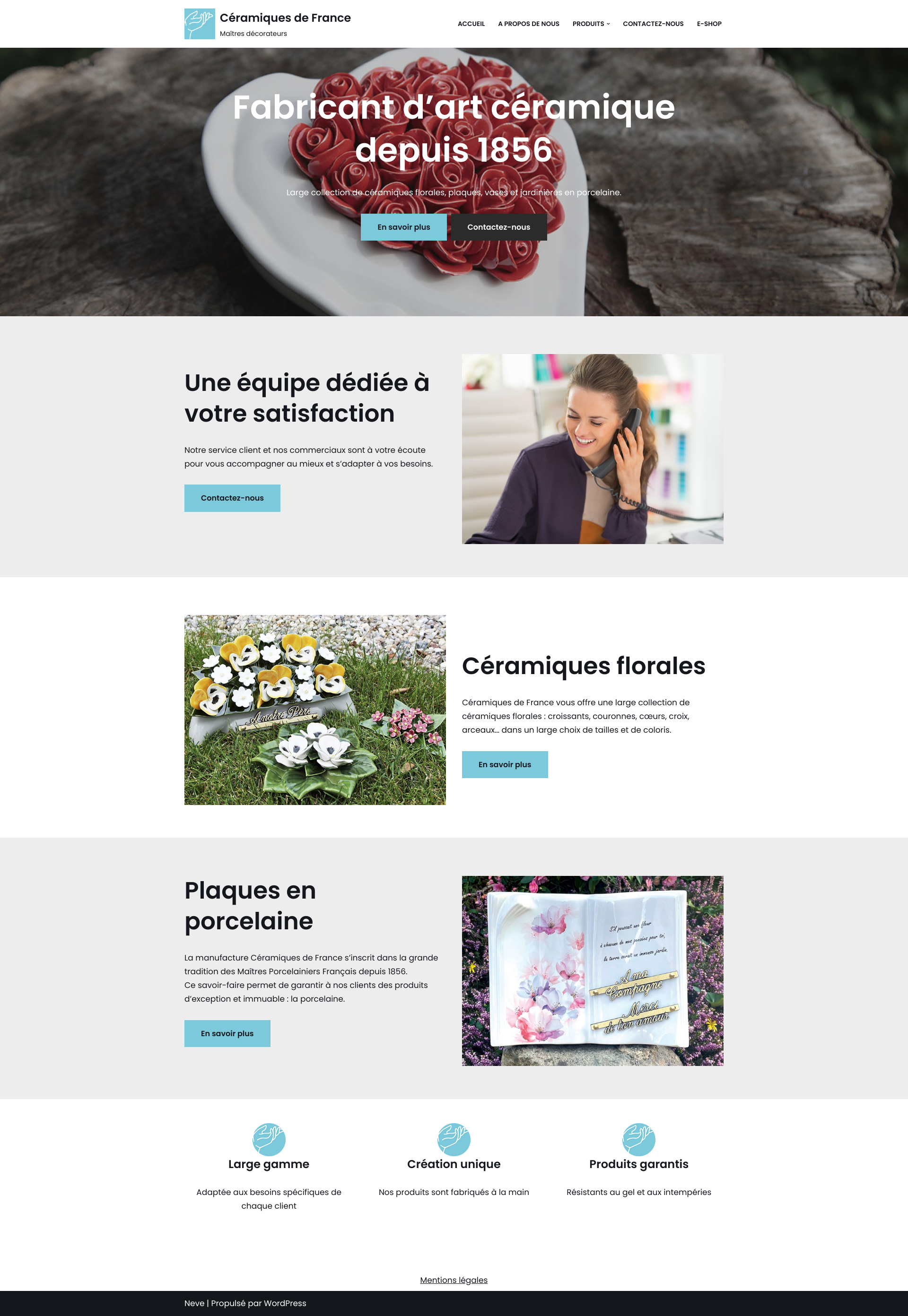 Aperçu du site