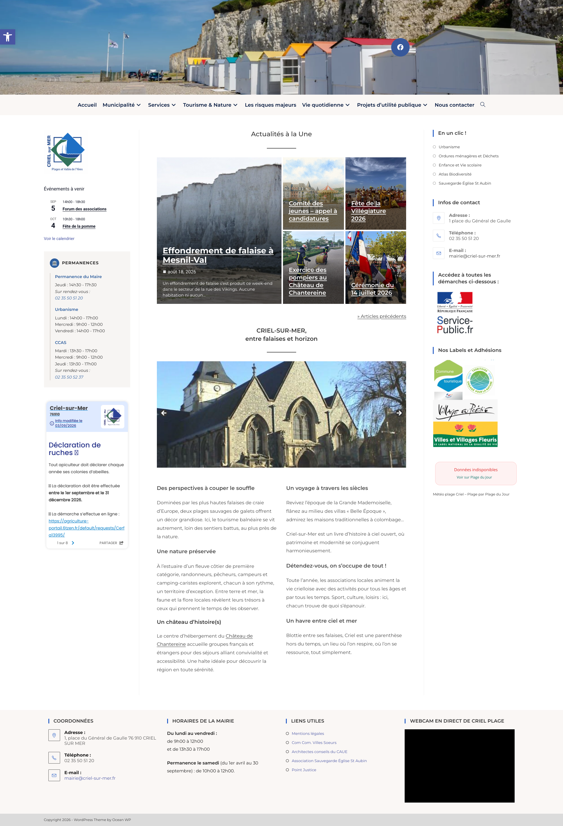 Aperçu du site