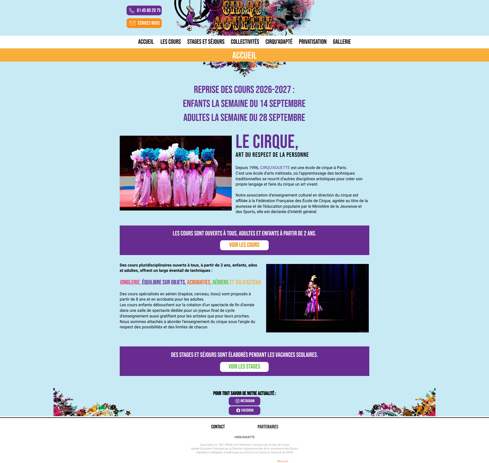 Aperçu du site