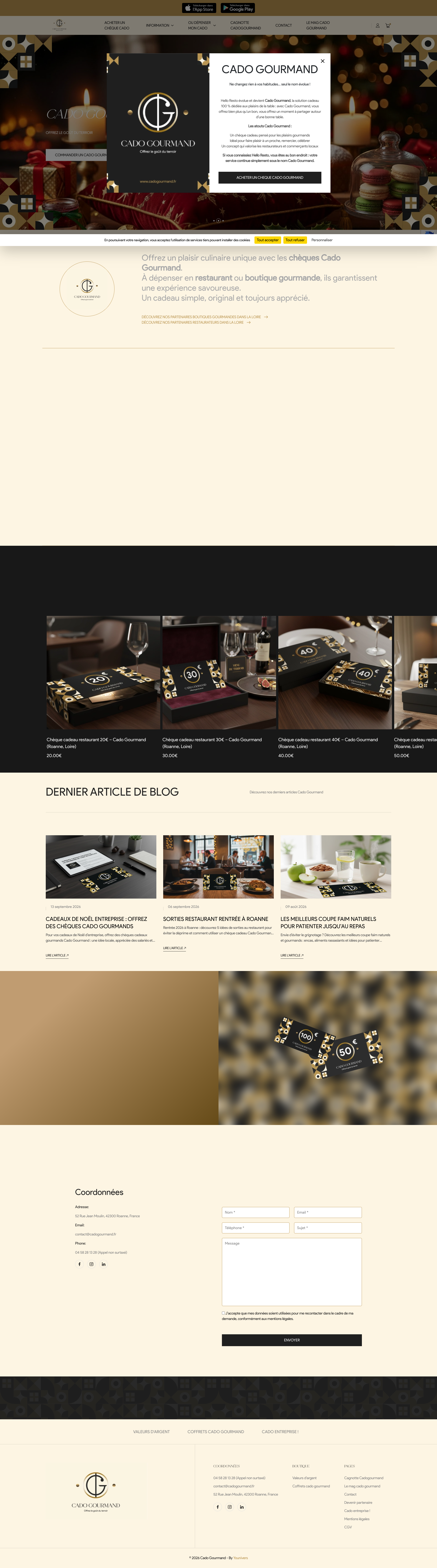 Aperçu du site