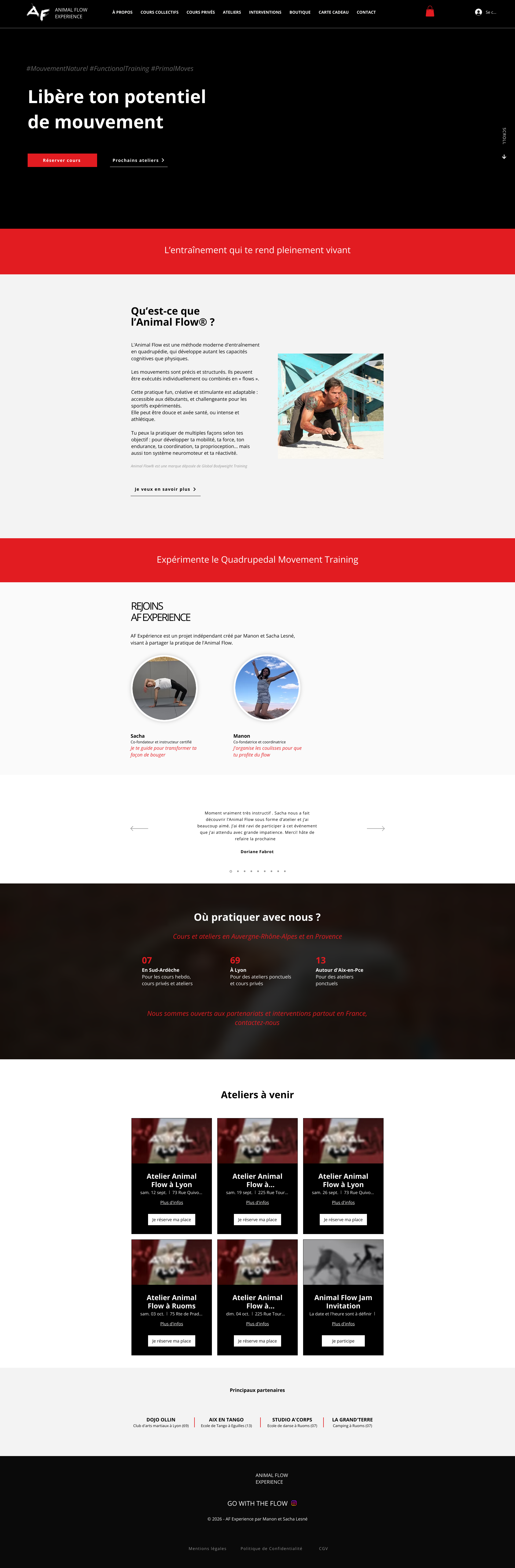 Aperçu du site