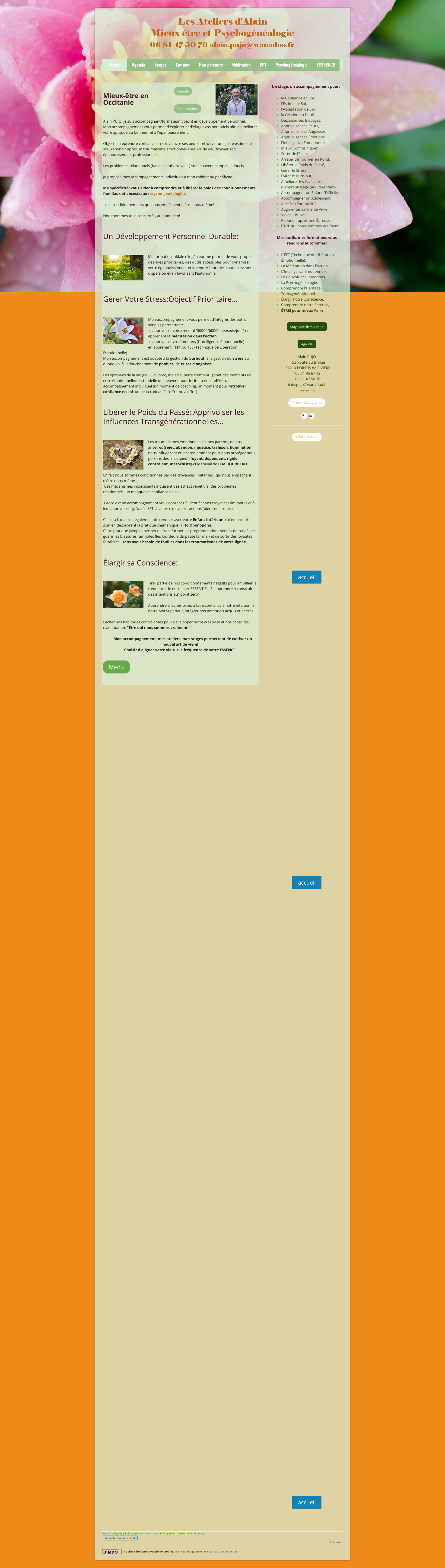 Aperçu du site