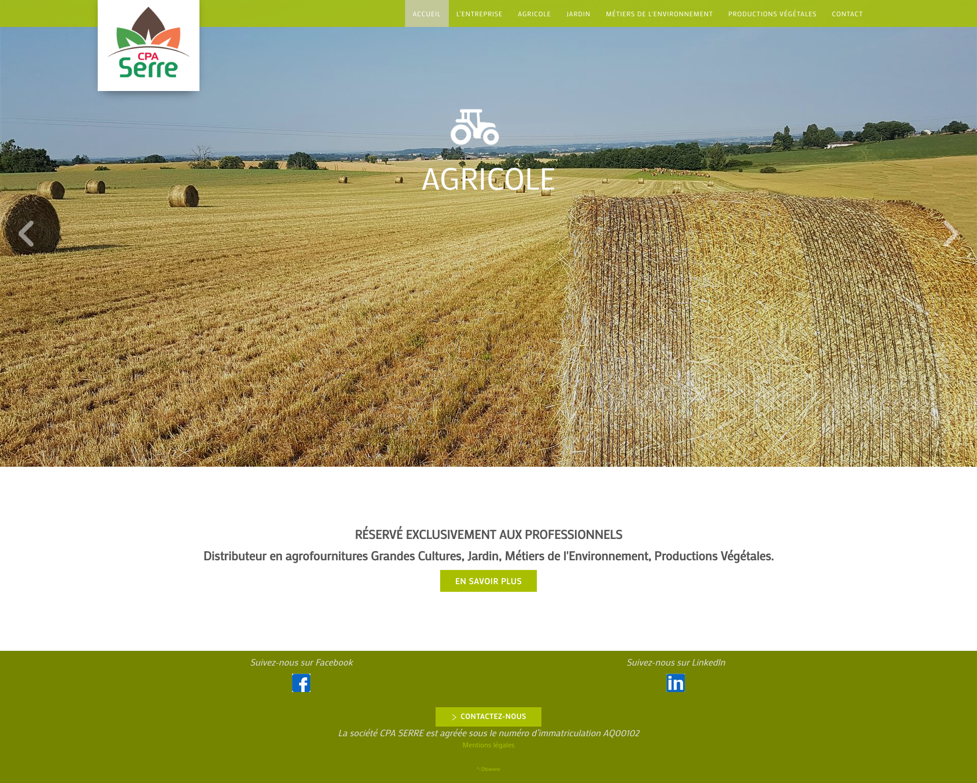 Aperçu du site