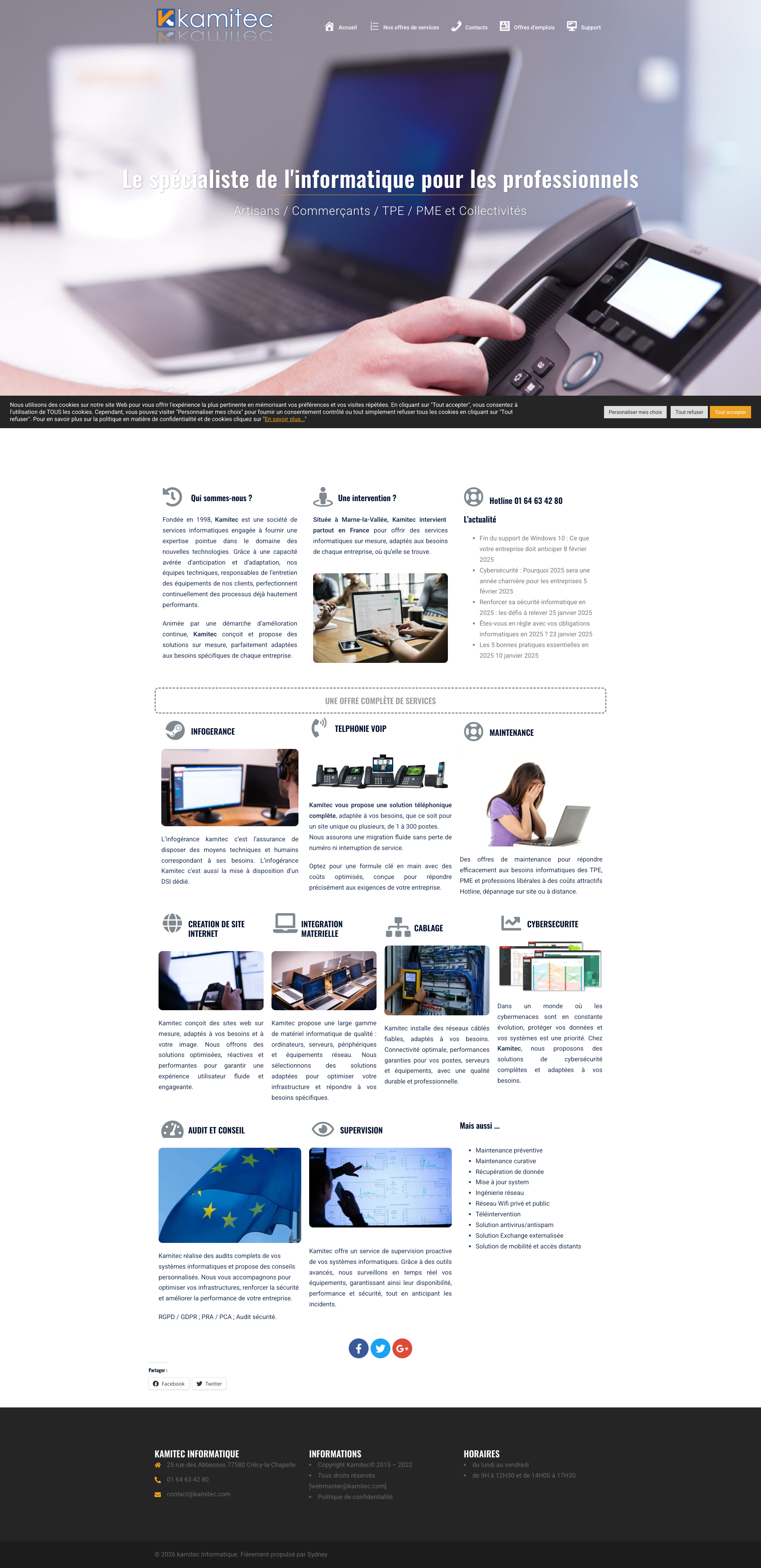 Aperçu du site