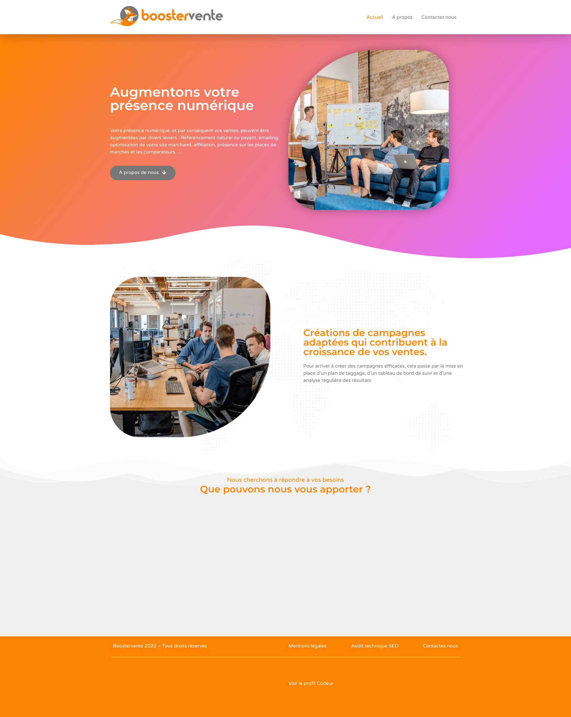 Aperçu du site