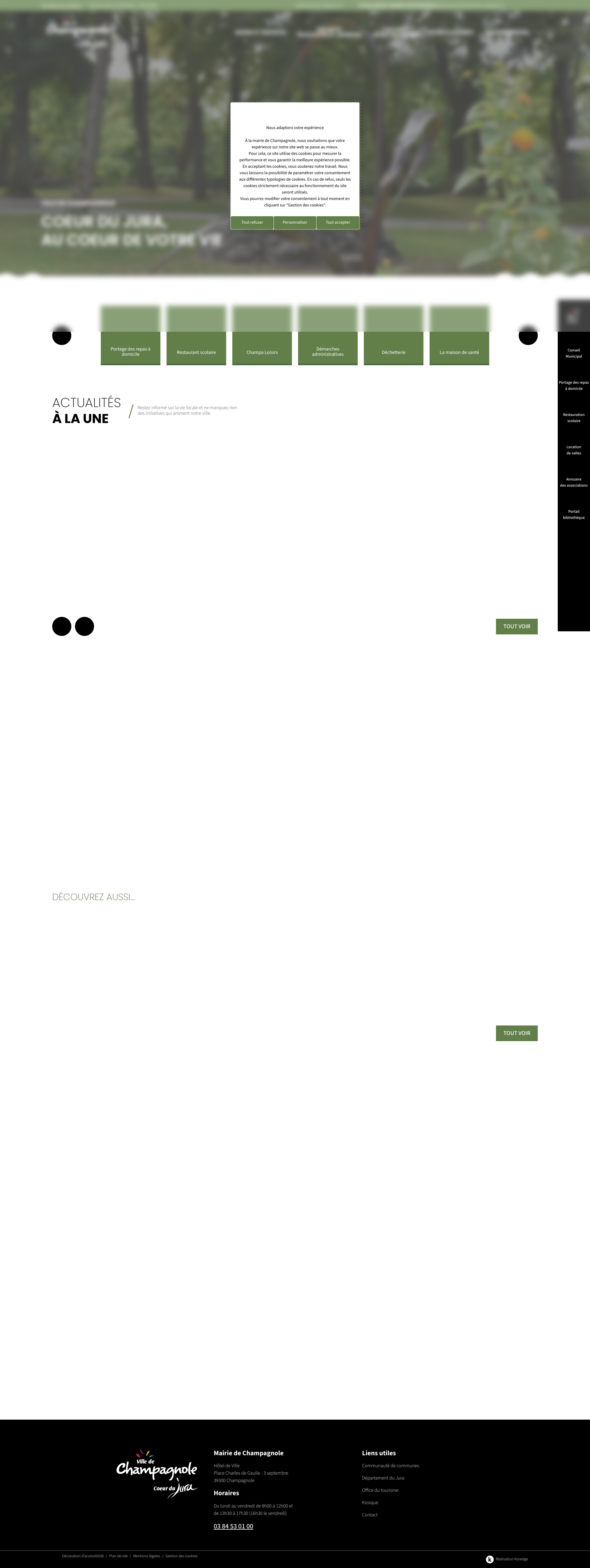 Aperçu du site
