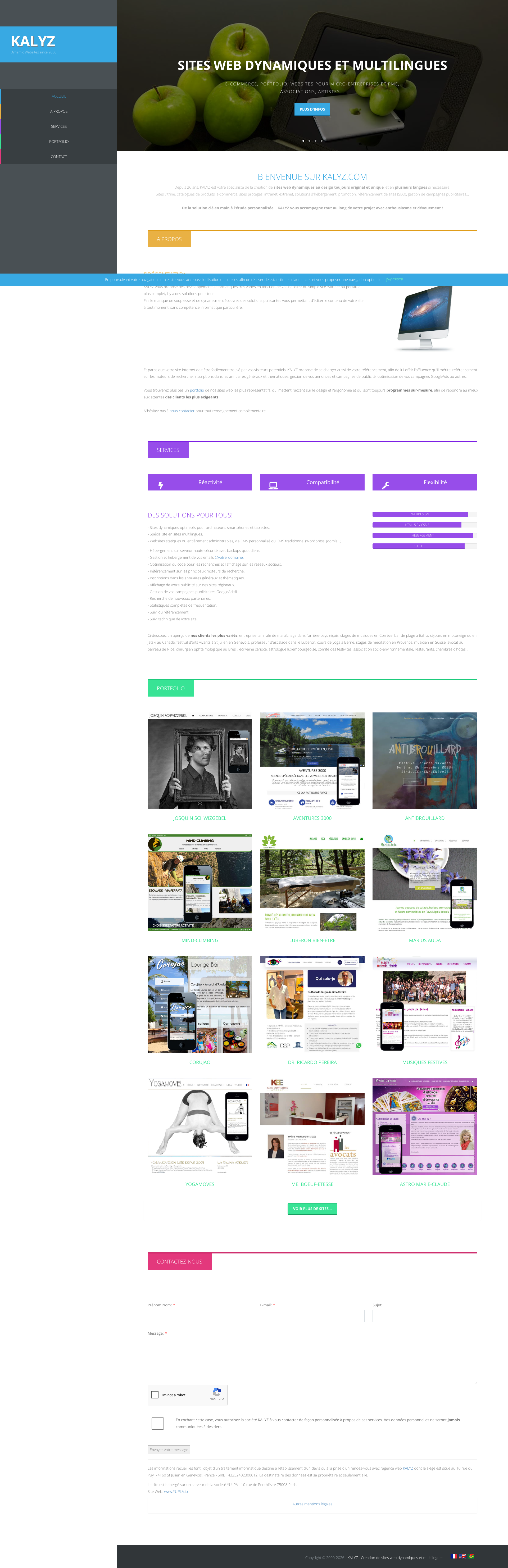 Aperçu du site