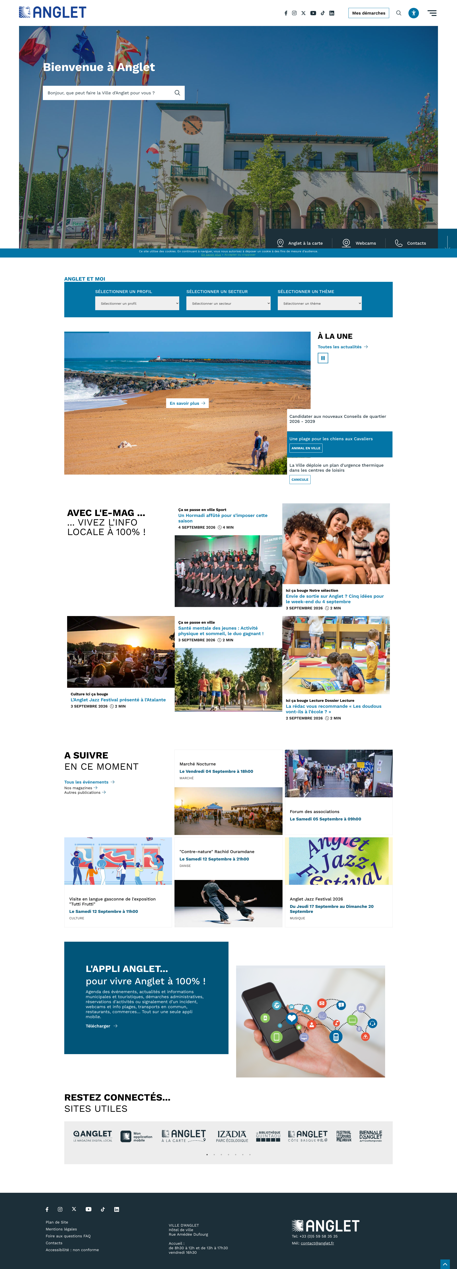 Aperçu du site