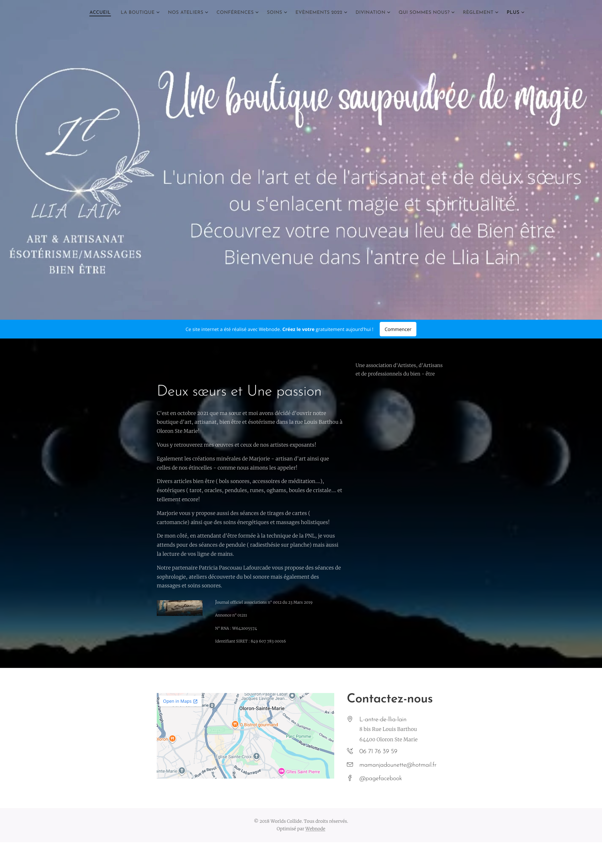 Aperçu du site