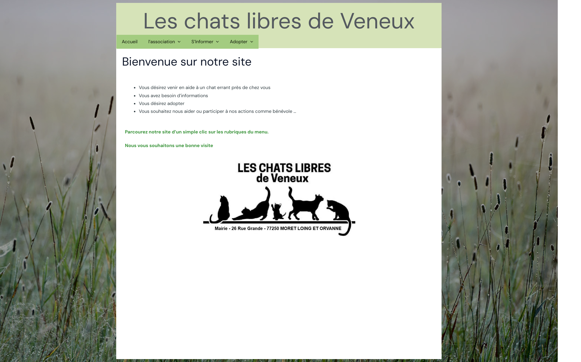 Aperçu du site